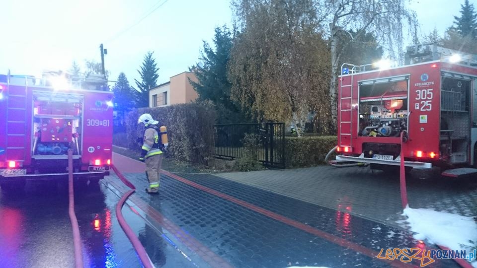 Pożar w piwnicy Foto: OSP Suchy Las Pożar w piwnicy Foto: OSP Suchy Las