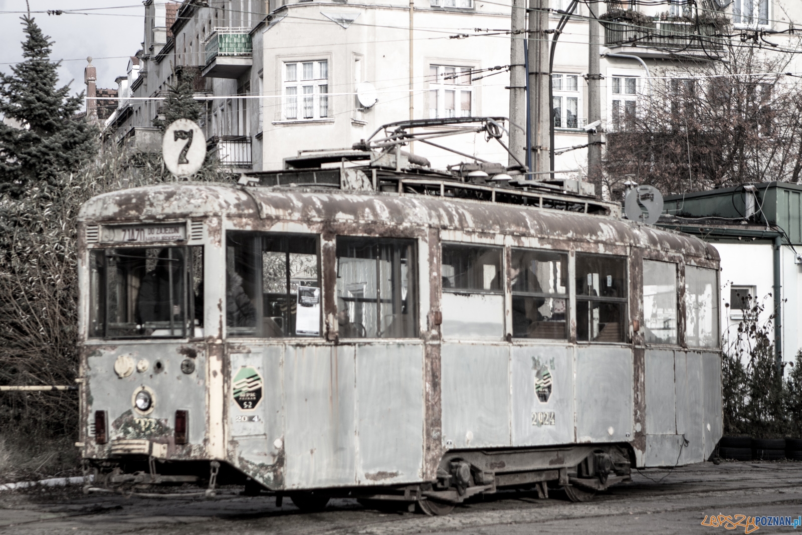 lp-3957 Foto: Ewelina Jaśkowiak lp-3957 Foto: Ewelina Jaśkowiak