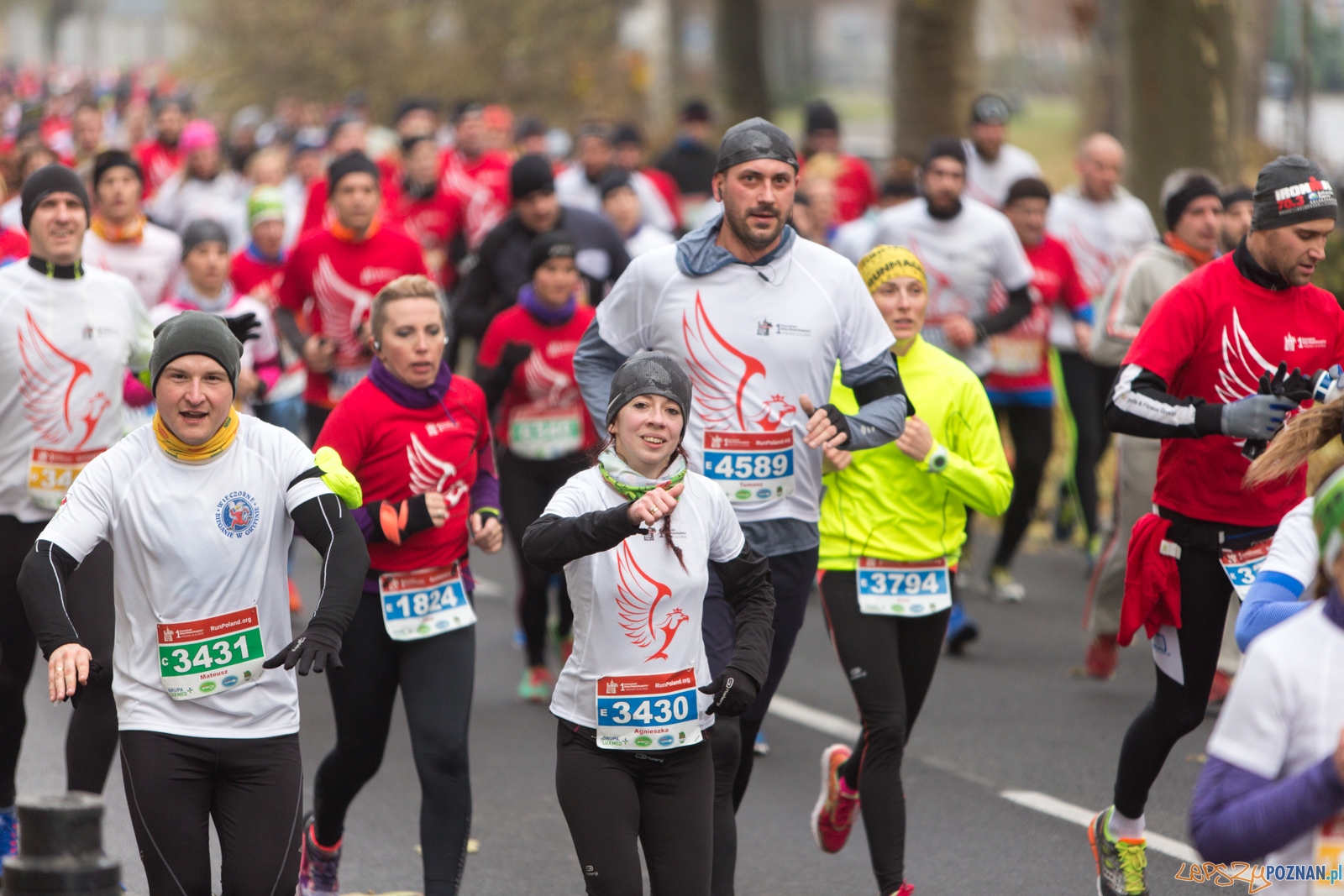 I Poznański Bieg Niepodległości Foto: lepszyPOZNAN.pl / Piotr Rychter I Poznański Bieg Niepodległości Foto: lepszyPOZNAN.pl / Piotr Rychter