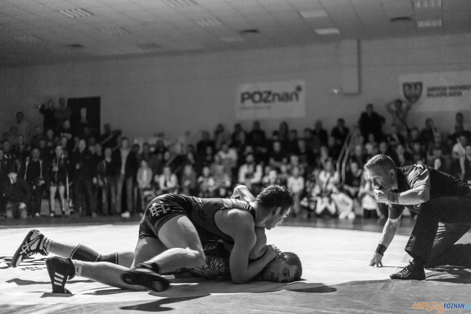 Krajowa Liga Zapaśnicza Foto: lepszyPOZNAN.pl / Piotr Rychter Krajowa Liga Zapaśnicza Foto: lepszyPOZNAN.pl / Piotr Rychter