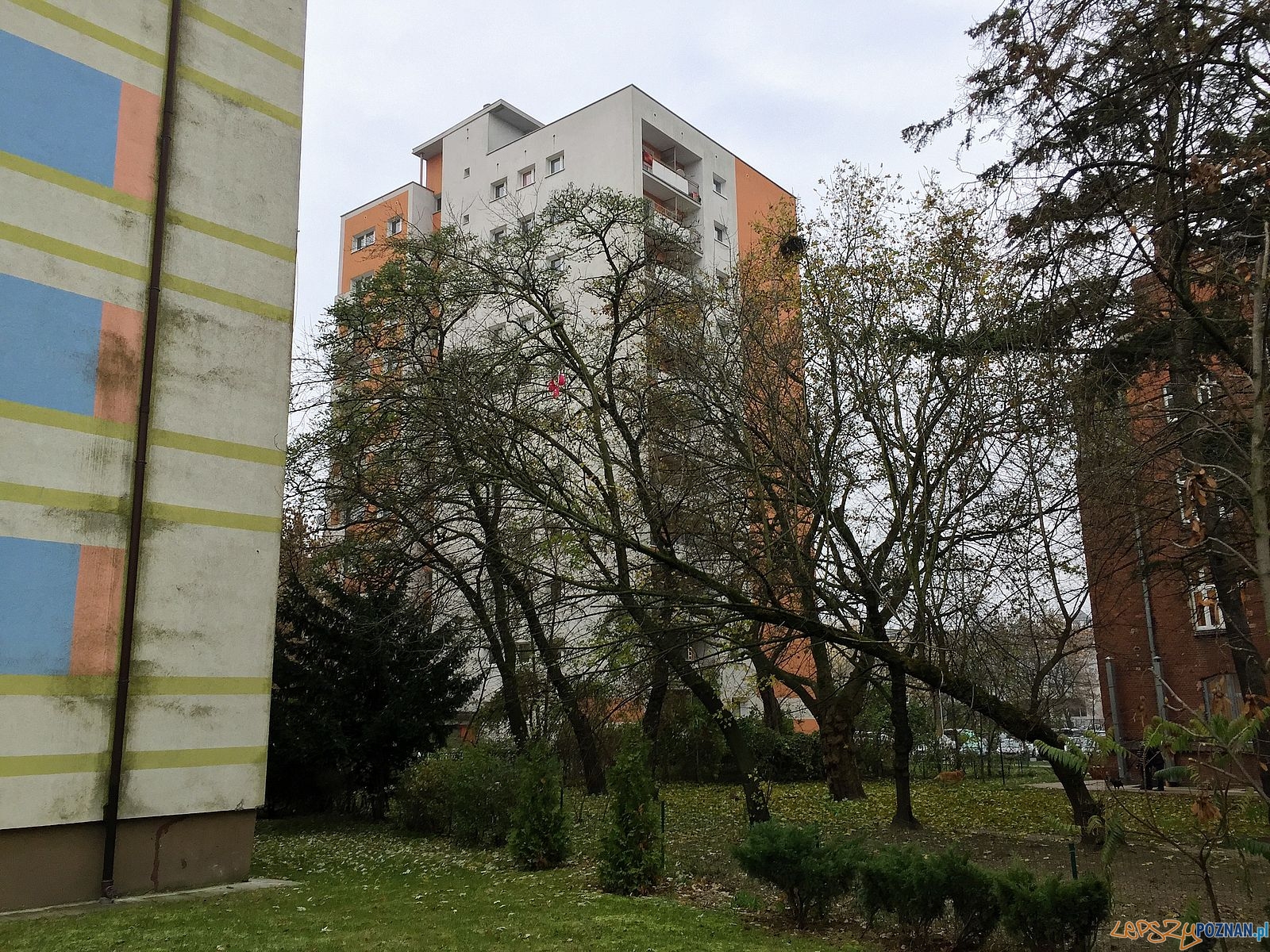 Blok zamiast zieleni? Foto: Rada Osiedla Stare Miasto / Marcin Liminowicz Blok zamiast zieleni? Foto: Rada Osiedla Stare Miasto / Marcin Liminowicz