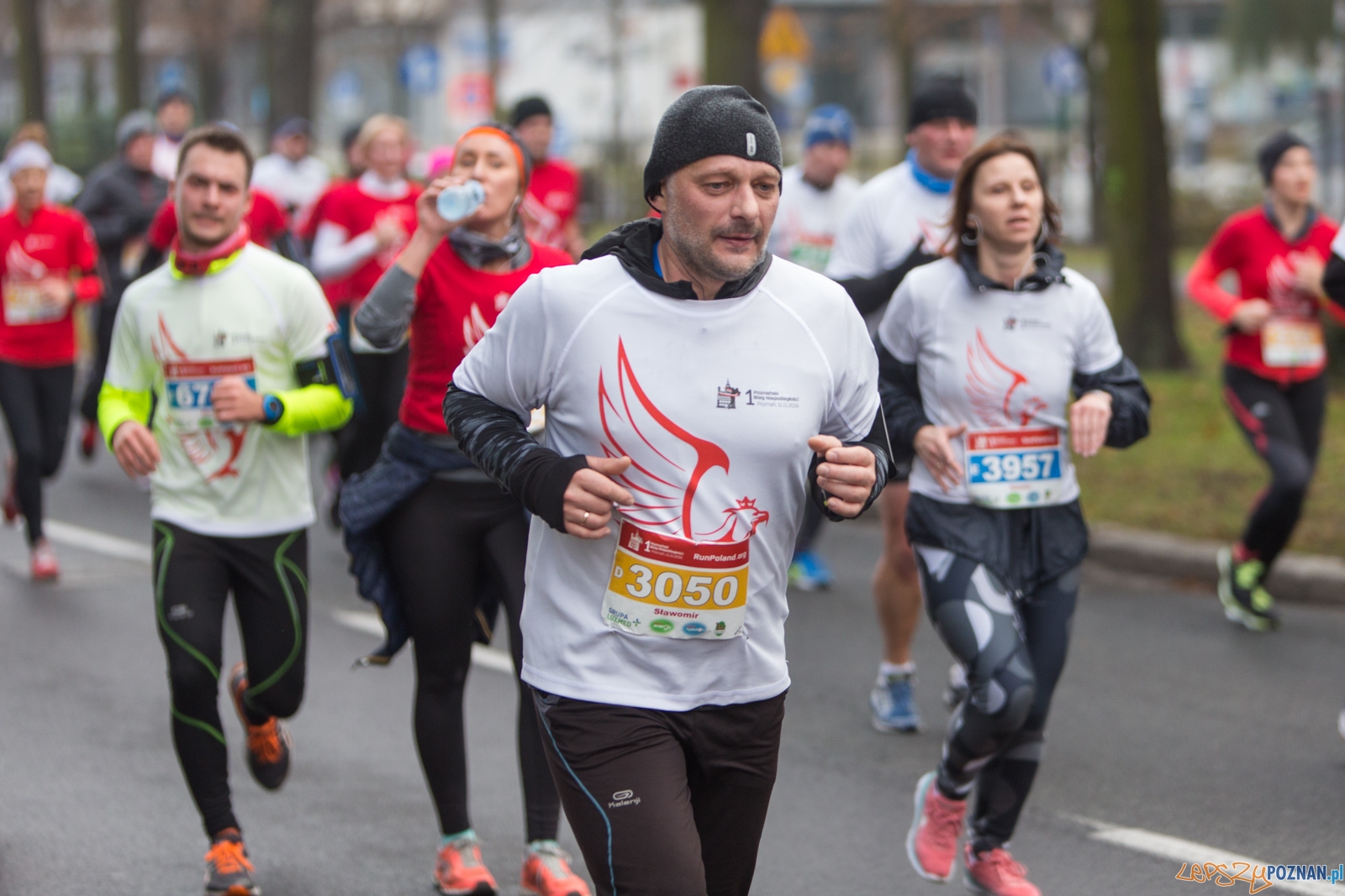 I Poznański Bieg Niepodległości Foto: lepszyPOZNAN.pl / Piotr Rychter I Poznański Bieg Niepodległości Foto: lepszyPOZNAN.pl / Piotr Rychter