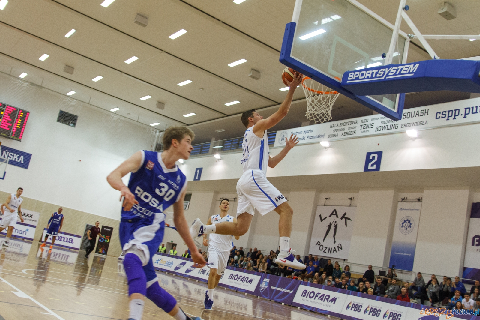 Biofarm Basket Poznań - ACK UTH Rosa Radom 64:51 - 1 liga - Poz Foto: LepszyPOZNAN.pl / Paweł Rychter Biofarm Basket Poznań - ACK UTH Rosa Radom 64:51 - 1 liga - Poz Foto: LepszyPOZNAN.pl / Paweł Rychter