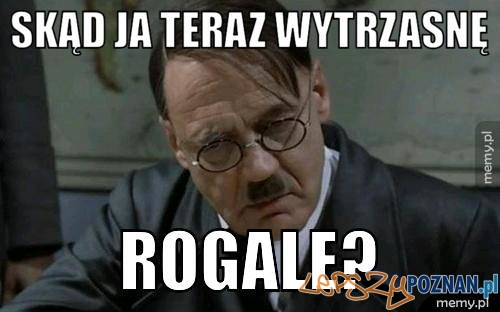 Memy po biegu niepodległości Foto: Facebook Memy po biegu niepodległości Foto: Facebook