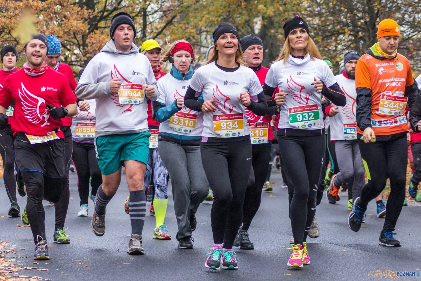 I Poznański Bieg Niepodległości Foto: lepszyPOZNAN.pl / Ewelina Jaśkowiak I Poznański Bieg Niepodległości Foto: lepszyPOZNAN.pl / Ewelina Jaśkowiak