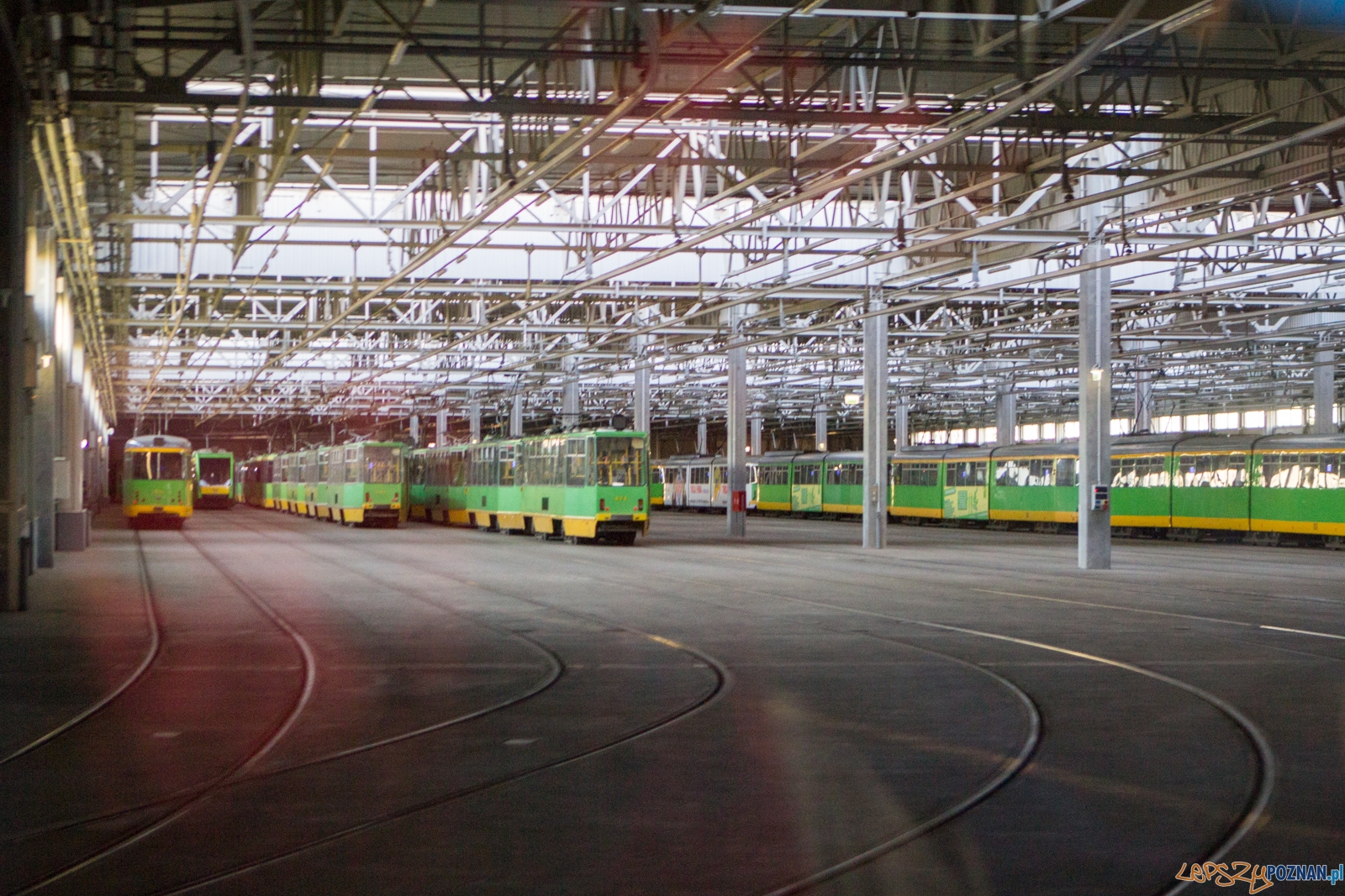 lp-4024 Foto: Ewelina Jaśkowiak lp-4024 Foto: Ewelina Jaśkowiak