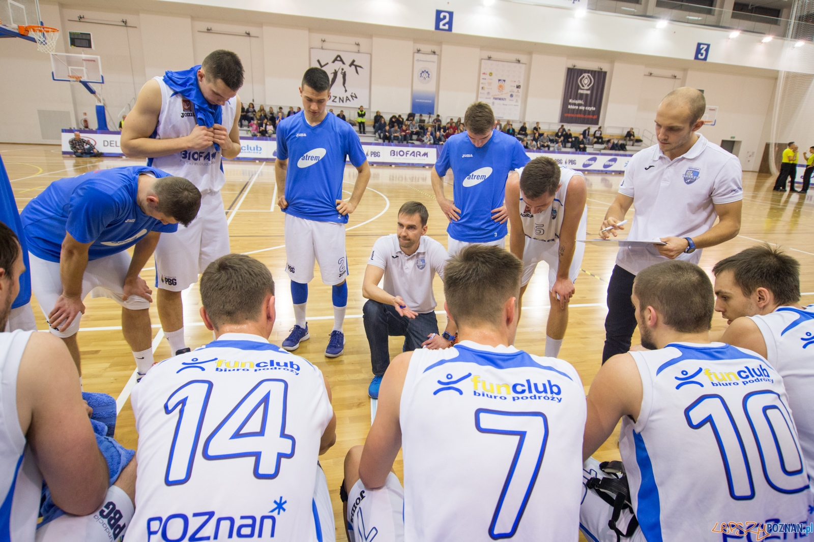 Biofarm Basket Poznań - GKS Gliwice Foto: lepszyPOZNAN.pl / Piotr Rychter Biofarm Basket Poznań - GKS Gliwice Foto: lepszyPOZNAN.pl / Piotr Rychter