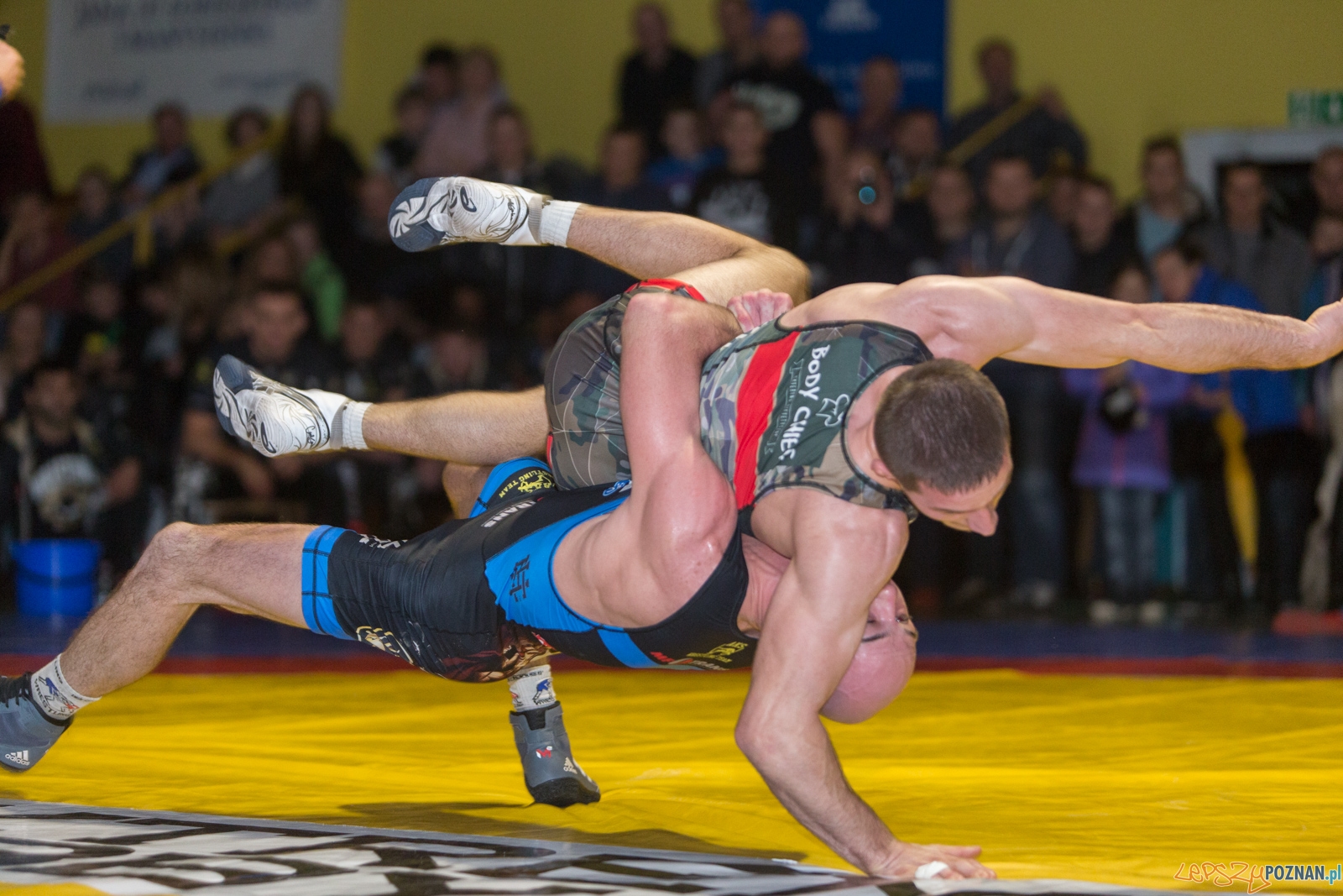 Krajowa Liga Zapaśnicza Foto: lepszyPOZNAN.pl / Piotr Rychter Krajowa Liga Zapaśnicza Foto: lepszyPOZNAN.pl / Piotr Rychter