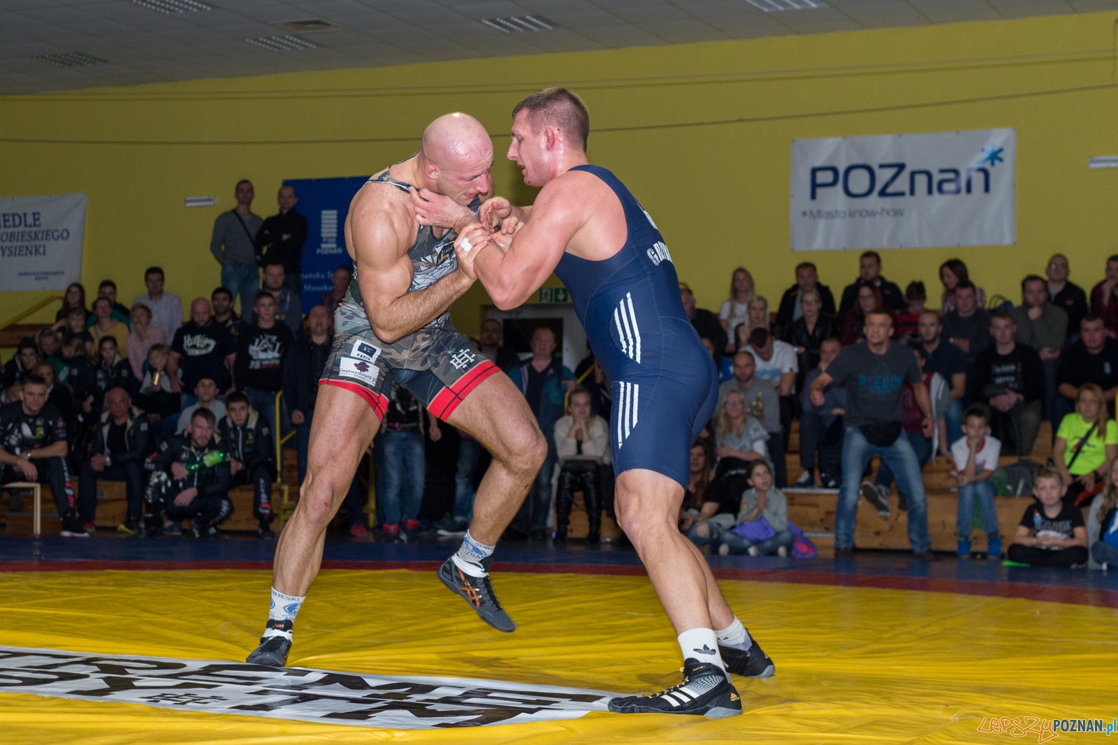 Krajowa Liga Zapaśnicza Foto: lepszyPOZNAN.pl / Piotr Rychter Krajowa Liga Zapaśnicza Foto: lepszyPOZNAN.pl / Piotr Rychter