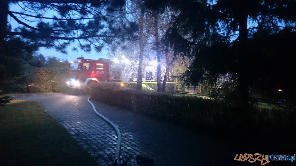 Pożar w piwnicy Foto: OSP Suchy Las Pożar w piwnicy Foto: OSP Suchy Las