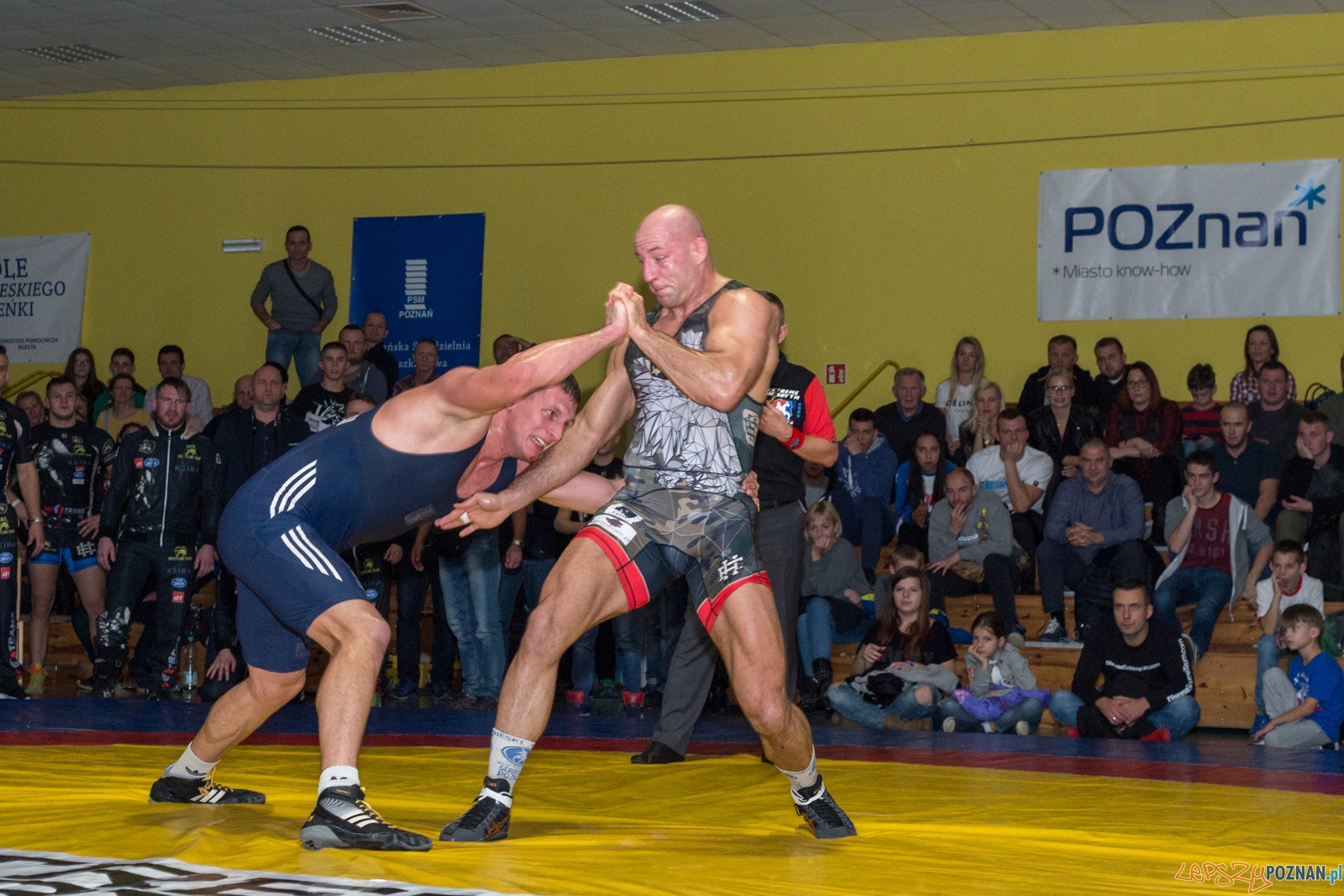 Krajowa Liga Zapaśnicza Foto: lepszyPOZNAN.pl / Piotr Rychter Krajowa Liga Zapaśnicza Foto: lepszyPOZNAN.pl / Piotr Rychter