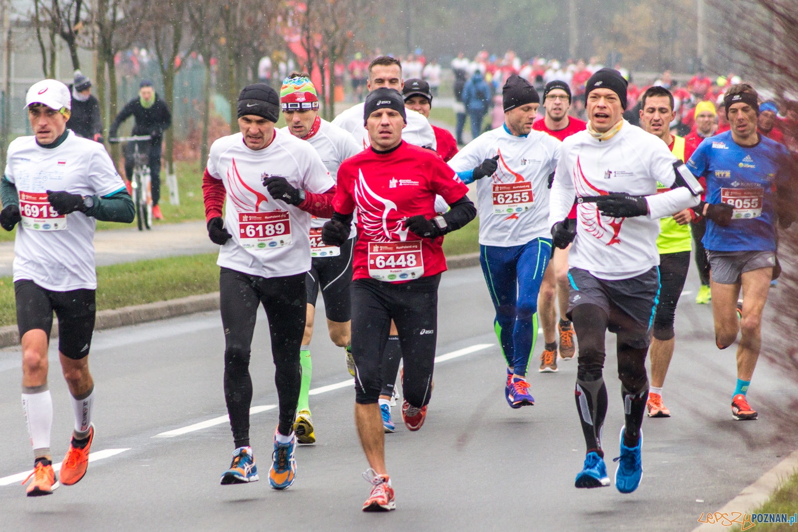 I Poznański Bieg Niepodległości Foto: lepszyPOZNAN.pl / Ewelina Jaśkowiak I Poznański Bieg Niepodległości Foto: lepszyPOZNAN.pl / Ewelina Jaśkowiak