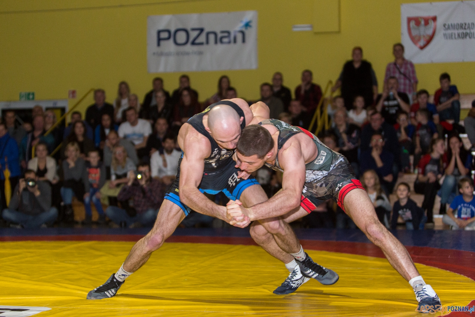 Krajowa Liga Zapaśnicza Foto: lepszyPOZNAN.pl / Piotr Rychter Krajowa Liga Zapaśnicza Foto: lepszyPOZNAN.pl / Piotr Rychter