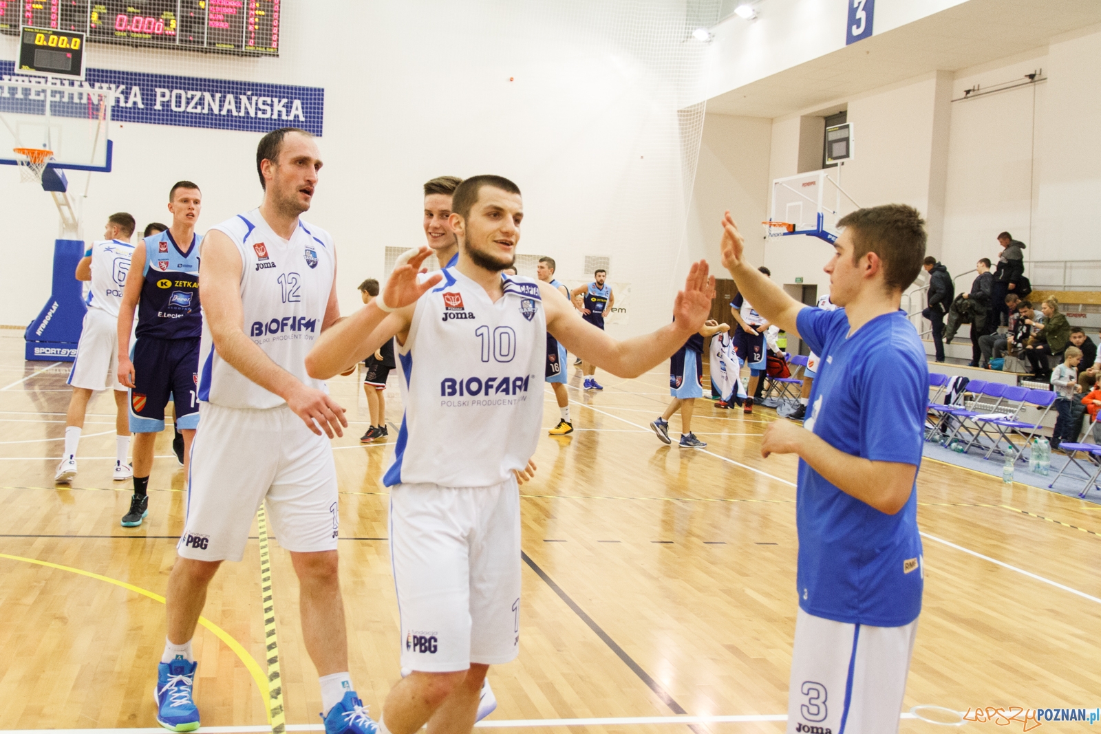 Biofarm Basket Poznań - Zetkama Doral Nysa Kłodzko 73:60 - Poz Foto: LepszyPOZNAN.pl / Paweł Rychter Biofarm Basket Poznań - Zetkama Doral Nysa Kłodzko 73:60 - Poz Foto: LepszyPOZNAN.pl / Paweł Rychter