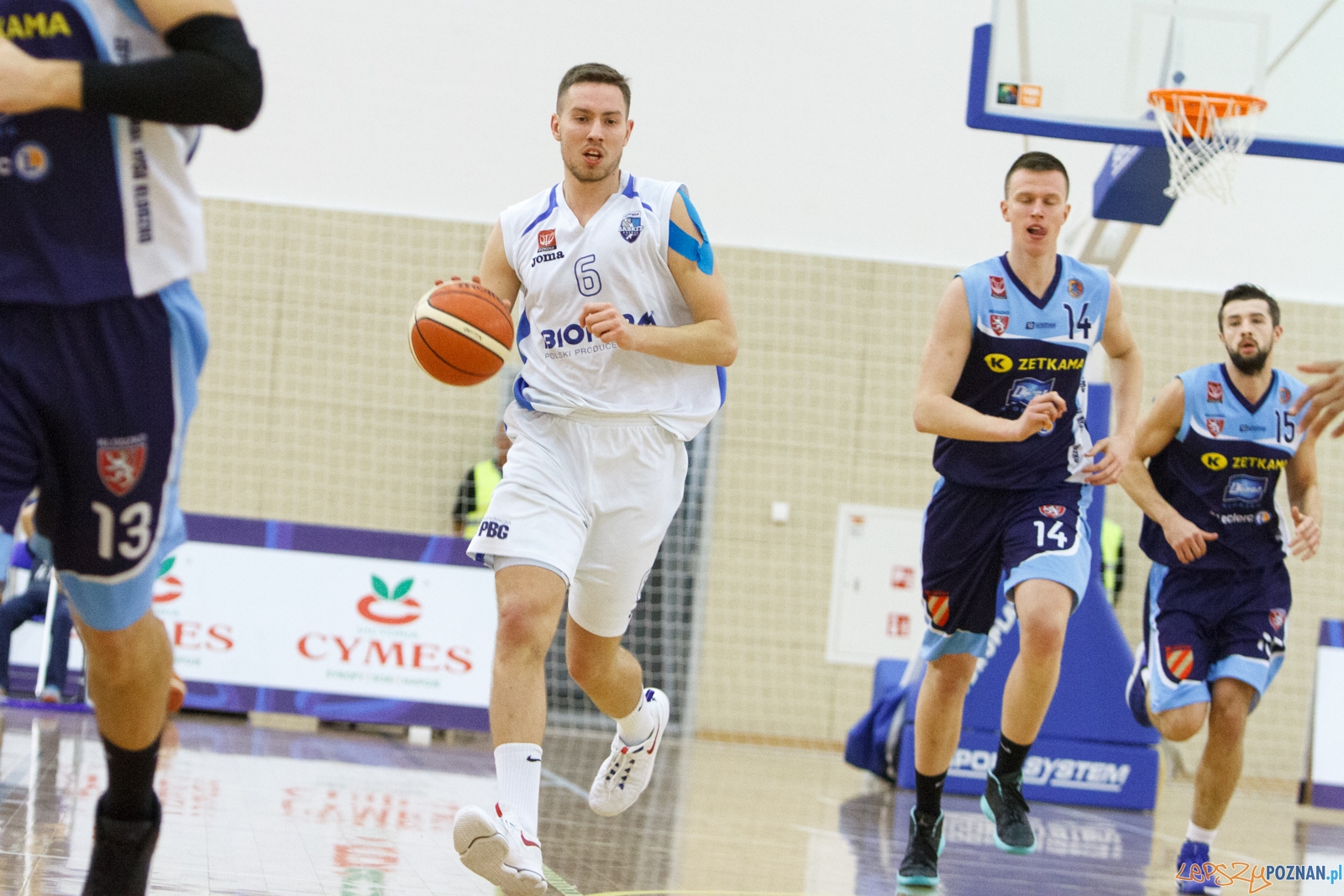 Biofarm Basket Poznań - Zetkama Doral Nysa Kłodzko 73:60 - Poz Foto: LepszyPOZNAN.pl / Paweł Rychter Biofarm Basket Poznań - Zetkama Doral Nysa Kłodzko 73:60 - Poz Foto: LepszyPOZNAN.pl / Paweł Rychter