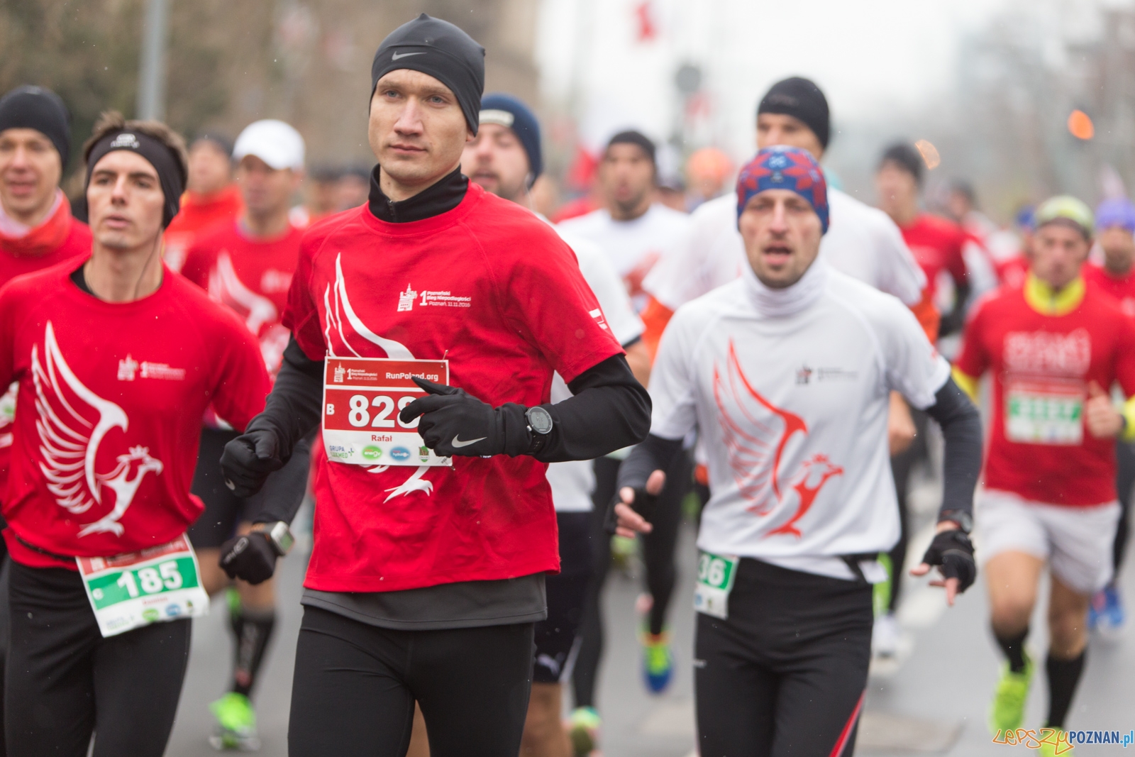 I Poznański Bieg Niepodległości Foto: lepszyPOZNAN.pl / Piotr Rychter I Poznański Bieg Niepodległości Foto: lepszyPOZNAN.pl / Piotr Rychter