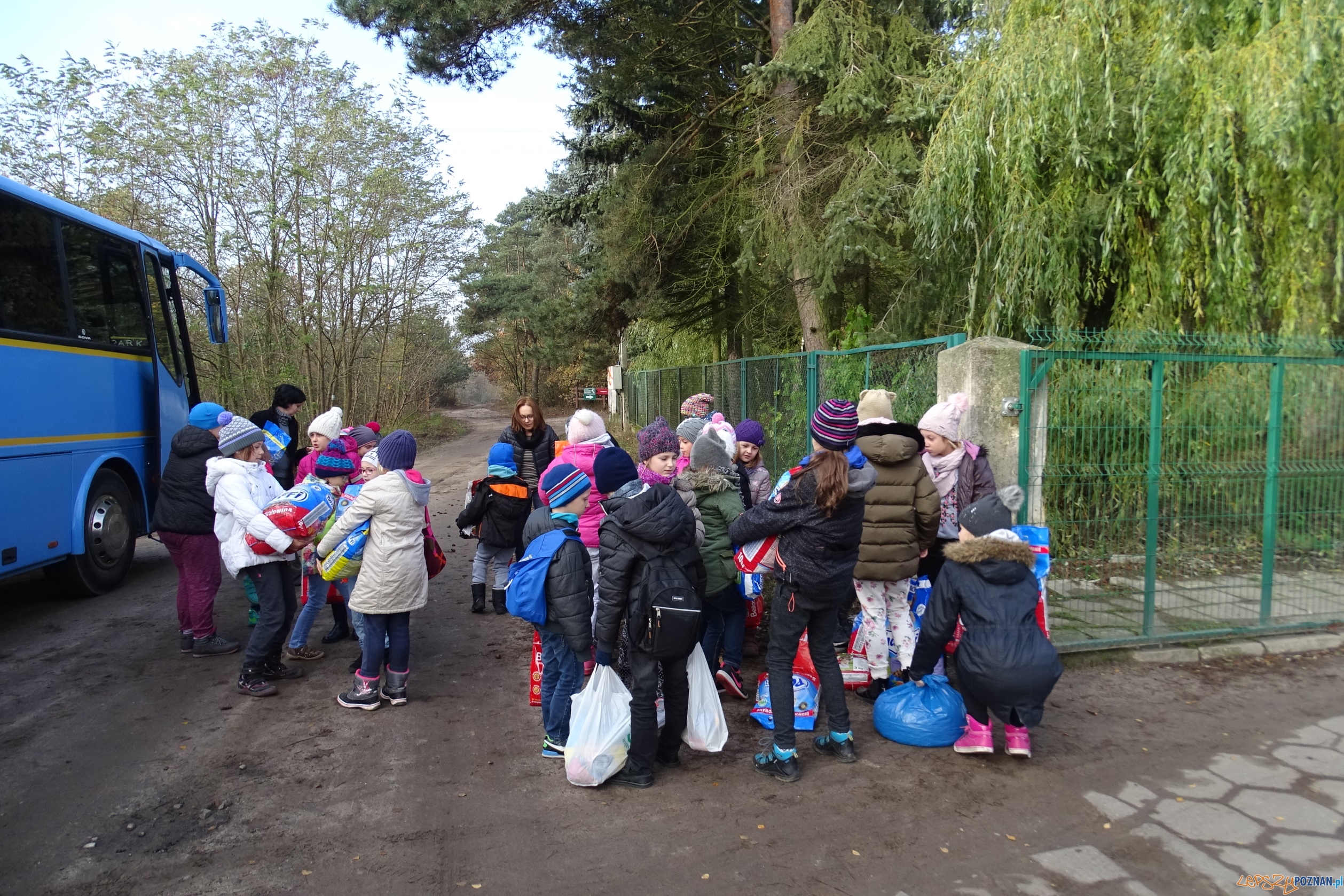Na pomoc bezpańskim kejtrom Foto: Szkoła Podstawowa w Murowanej Goślinie Na pomoc bezpańskim kejtrom Foto: Szkoła Podstawowa w Murowanej Goślinie