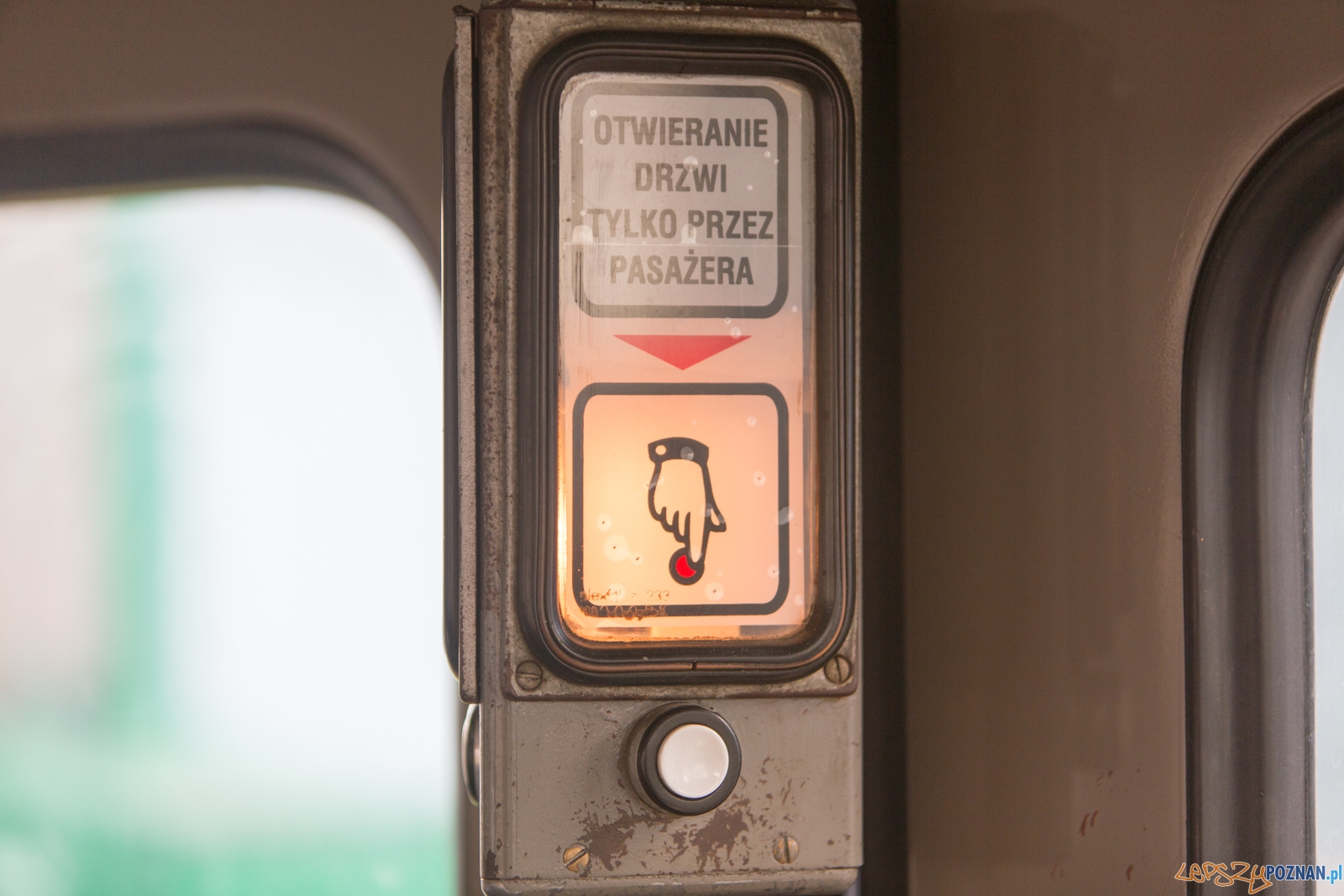 Katarzynki 2016 Foto: lepszyPOZNAN.pl / Piotr Rychter Katarzynki 2016 Foto: lepszyPOZNAN.pl / Piotr Rychter