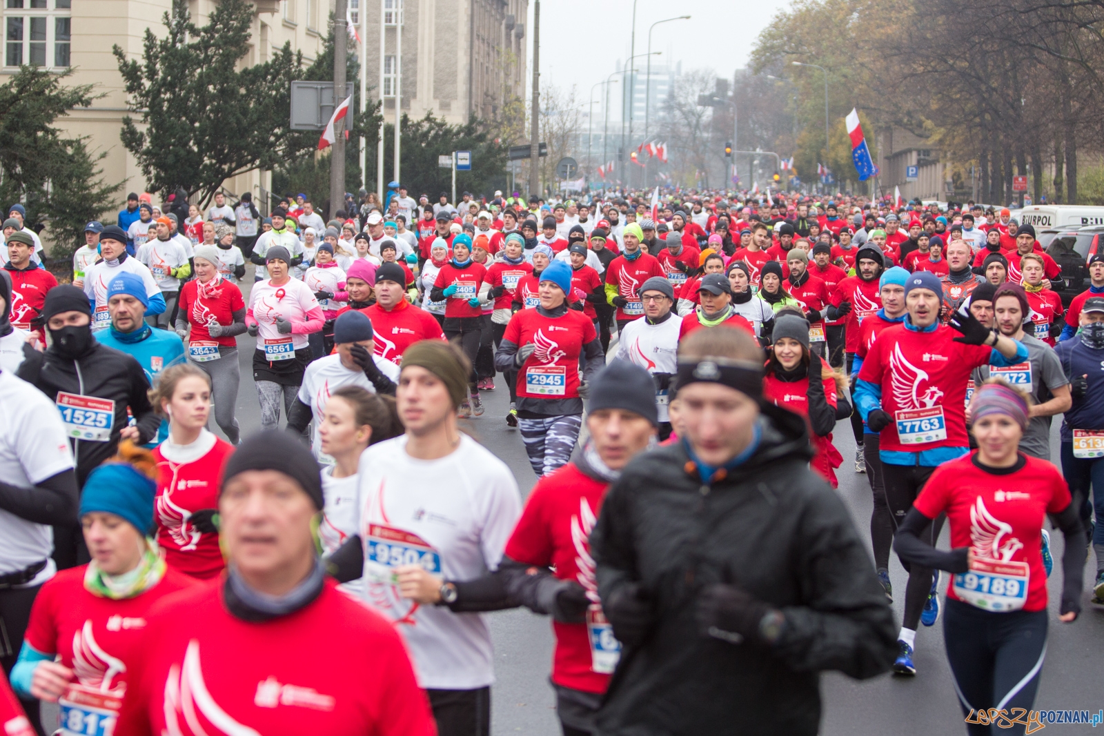 I Poznański Bieg Niepodległości Foto: lepszyPOZNAN.pl / Piotr Rychter I Poznański Bieg Niepodległości Foto: lepszyPOZNAN.pl / Piotr Rychter