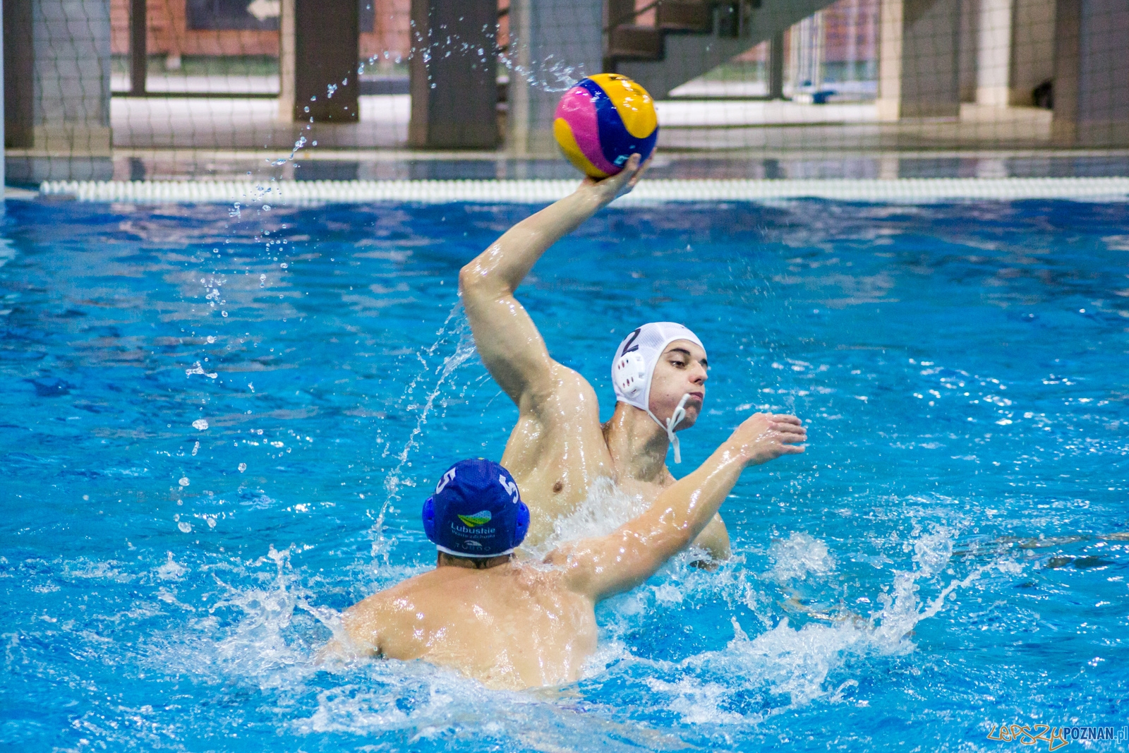 KS Waterpolo Poznań - GKPW 59 Gorzów Foto: Ewelina Jaśkowiak KS Waterpolo Poznań - GKPW 59 Gorzów Foto: Ewelina Jaśkowiak