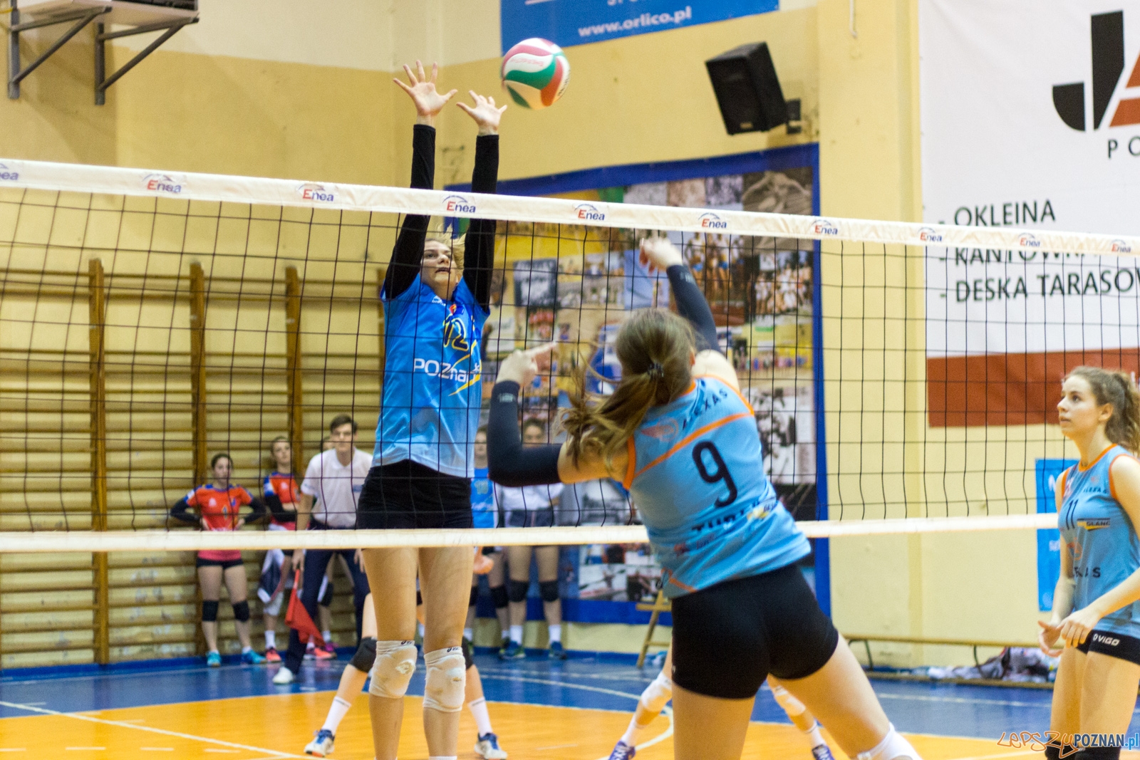 untitled-5568 Foto: Ewelina Jaśkowiak untitled-5568 Foto: Ewelina Jaśkowiak