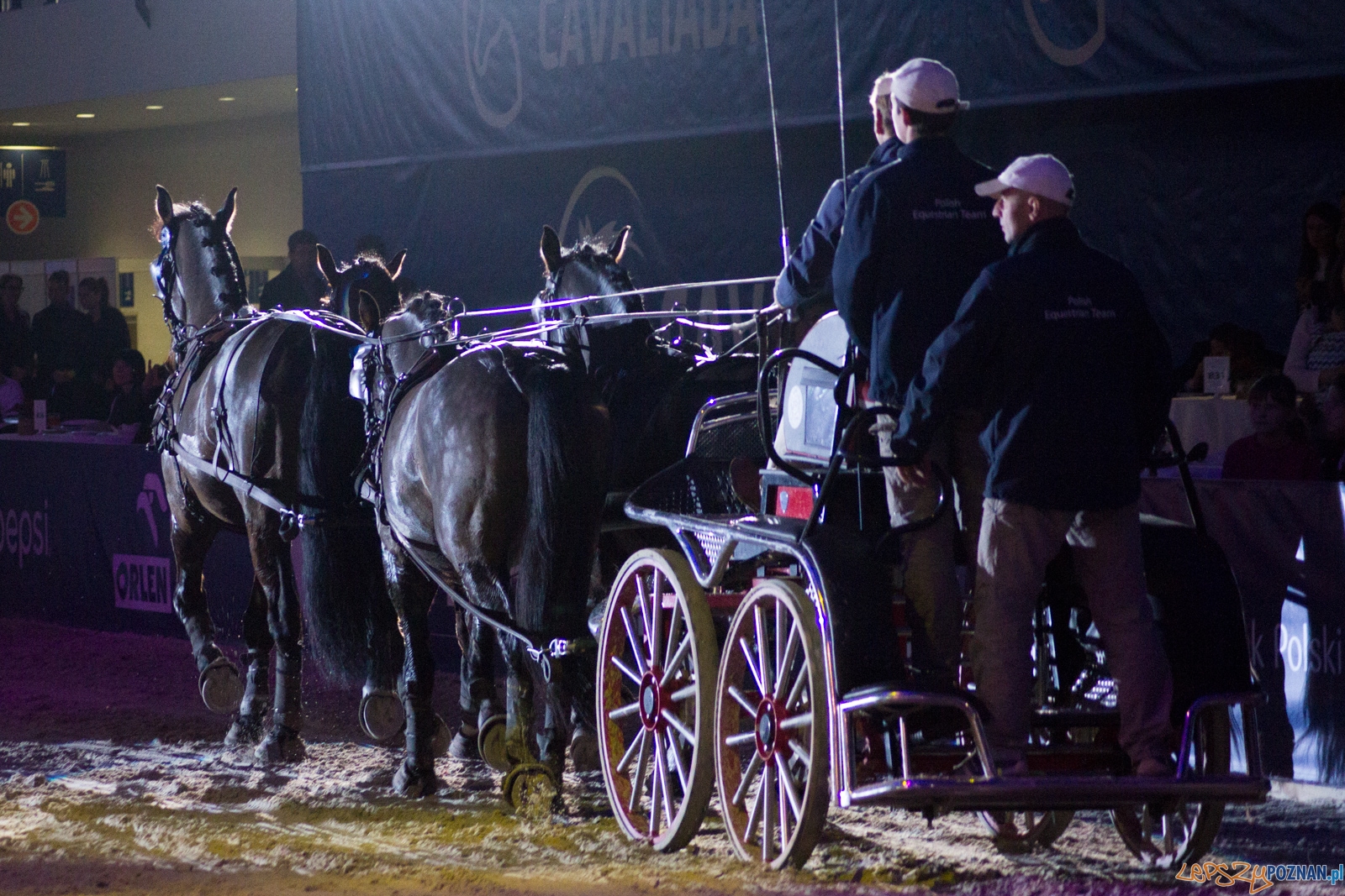 Cavaliada Halowy Puchar Polski w Powożeniu Zaprzęgami Czterok Foto: Ewelina Jaśkowiak Cavaliada Halowy Puchar Polski w Powożeniu Zaprzęgami Czterok Foto: Ewelina Jaśkowiak