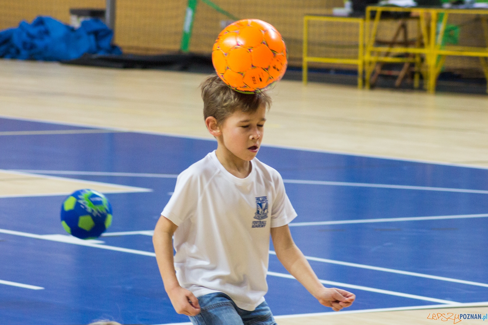 AZS UAM Poznań - Kotwica Kórnik Foto: Ewelina Jaśkowiak AZS UAM Poznań - Kotwica Kórnik Foto: Ewelina Jaśkowiak