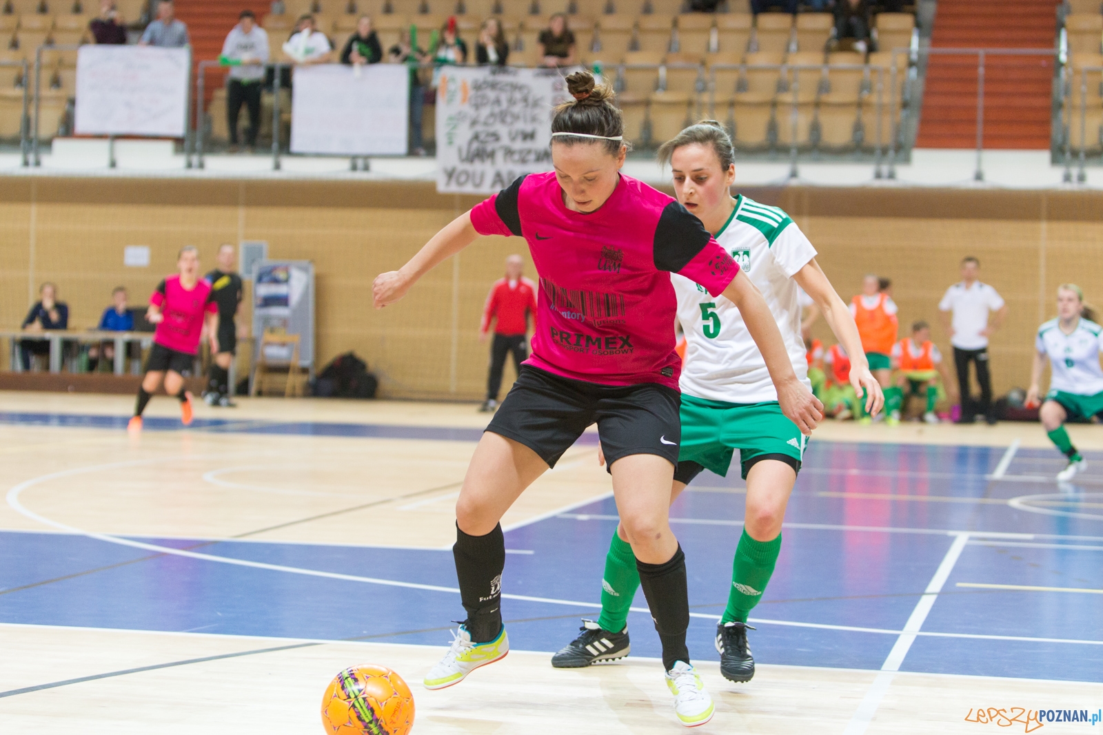 Futsal kobiet: AZS UAM Poznań - AZS AWF Warszawa Foto: lepszyPOZNAN.pl / Piotr Rychter Futsal kobiet: AZS UAM Poznań - AZS AWF Warszawa Foto: lepszyPOZNAN.pl / Piotr Rychter