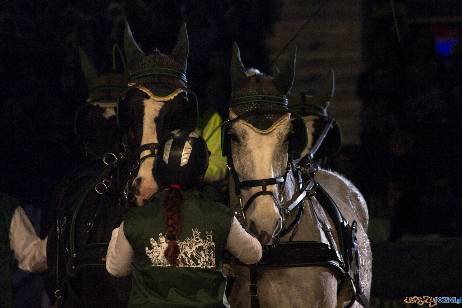 Cavaliada Halowy Puchar Polski w Powożeniu Zaprzęgami Czterok Foto: Ewelina Jaśkowiak Cavaliada Halowy Puchar Polski w Powożeniu Zaprzęgami Czterok Foto: Ewelina Jaśkowiak