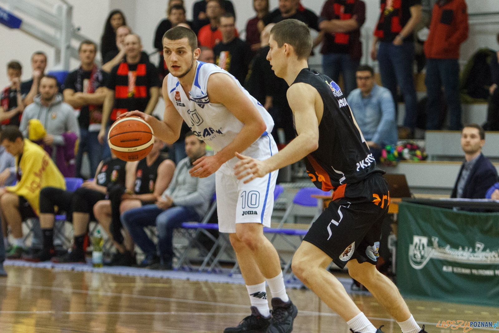 Biofarm Basket Poznań - Astoria Bydgoszcz - 1 liga - Poznań 17 Foto: LepszyPOZNAN.pl / Paweł Rychter Biofarm Basket Poznań - Astoria Bydgoszcz - 1 liga - Poznań 17 Foto: LepszyPOZNAN.pl / Paweł Rychter