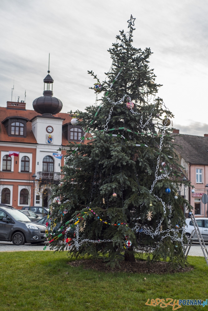 Choinka wspólnie udekorowana Foto: UMiG Murowana Goślina / Kamil Grzebyta Choinka wspólnie udekorowana Foto: UMiG Murowana Goślina / Kamil Grzebyta