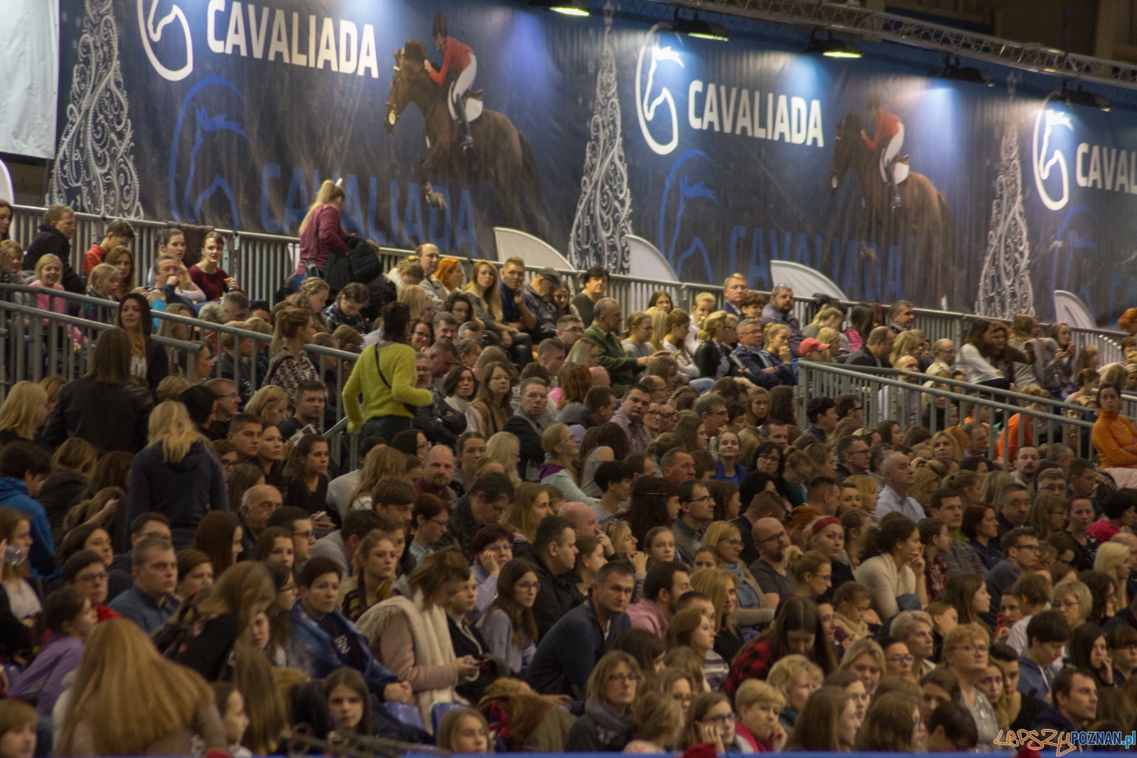 Cavaliada Halowy Puchar Polski w Powożeniu Zaprzęgami Czterok Foto: Ewelina Jaśkowiak Cavaliada Halowy Puchar Polski w Powożeniu Zaprzęgami Czterok Foto: Ewelina Jaśkowiak