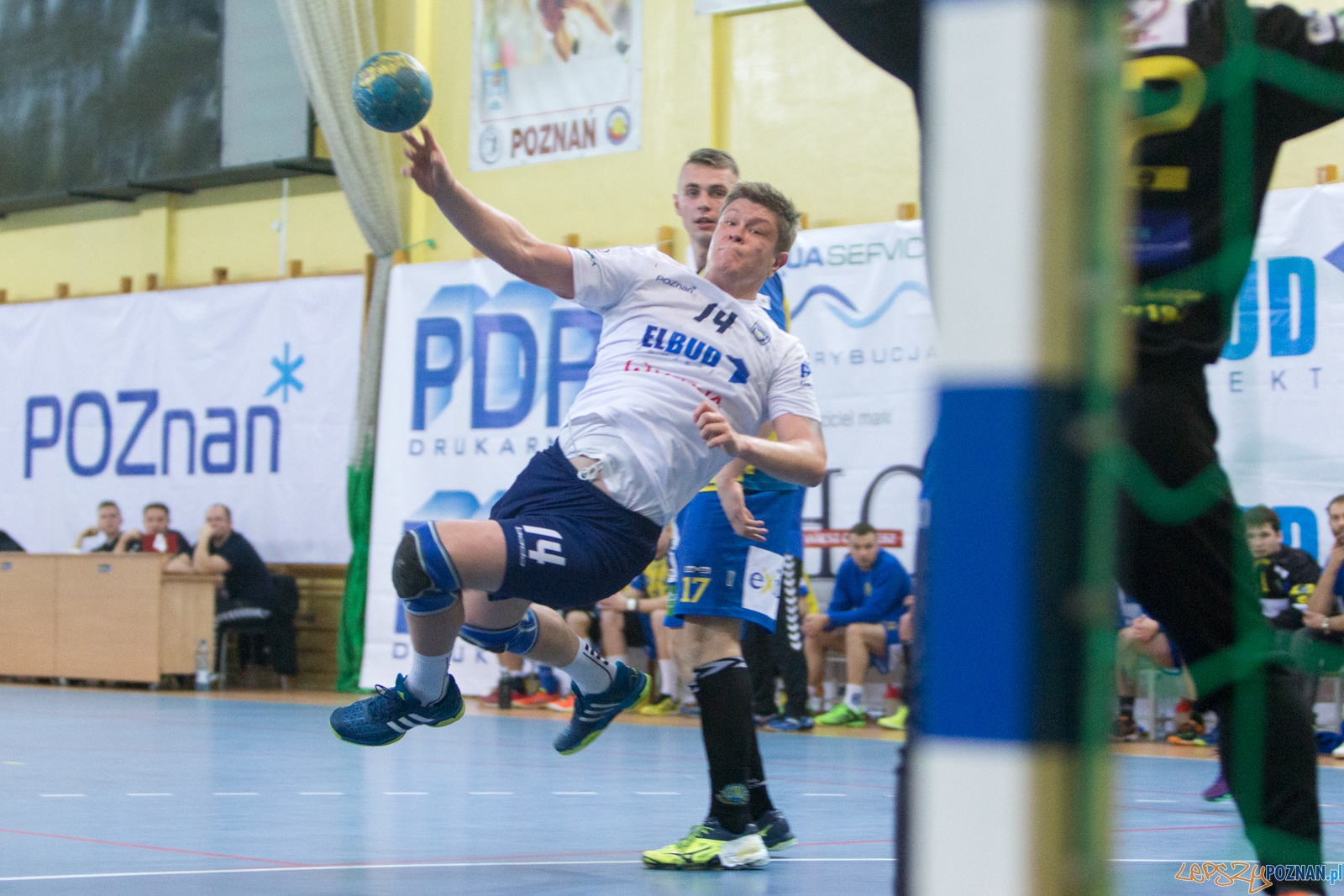 WKS Grunwald - Stal Gorzów Foto: lepszyPOZNAN.pl / Piotr Rychter WKS Grunwald - Stal Gorzów Foto: lepszyPOZNAN.pl / Piotr Rychter