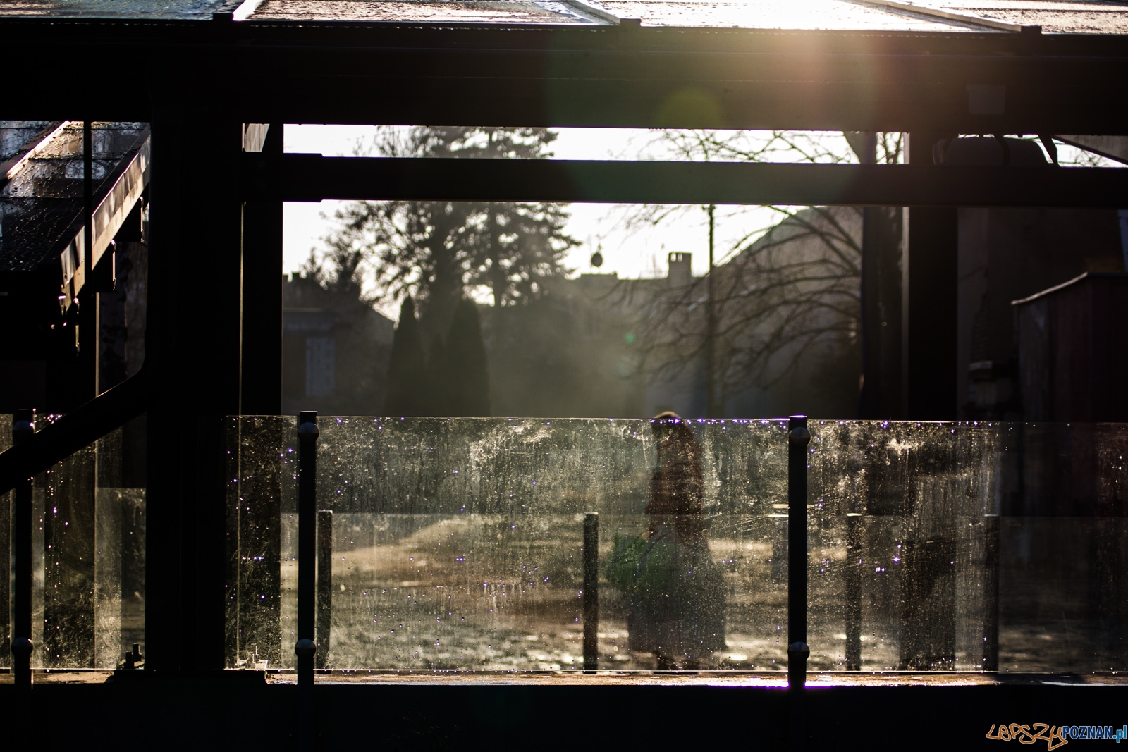 Otwarcie tunelu na Czechosłowackiej Foto: lepszyPOZNAN.pl / Ewelina Jaśkowiak Otwarcie tunelu na Czechosłowackiej Foto: lepszyPOZNAN.pl / Ewelina Jaśkowiak
