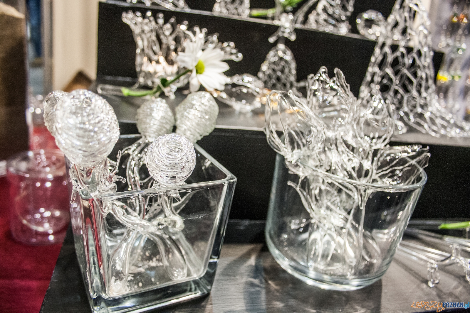 Festiwal Sztuki i Przedmiotów Artystycznych (2.12.2016) MTP Foto: © lepszyPOZNAN.pl / Karolina Kiraga Festiwal Sztuki i Przedmiotów Artystycznych (2.12.2016) MTP Foto: © lepszyPOZNAN.pl / Karolina Kiraga