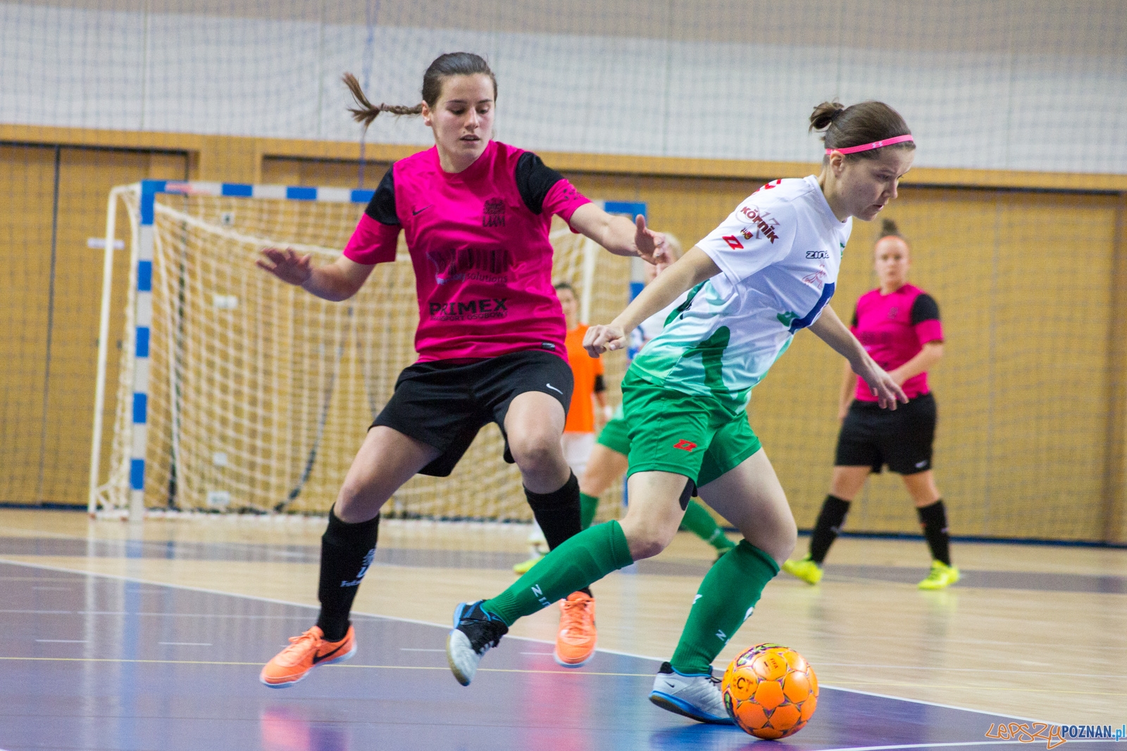 AZS UAM Poznań - Kotwica Kórnik Foto: Ewelina Jaśkowiak AZS UAM Poznań - Kotwica Kórnik Foto: Ewelina Jaśkowiak