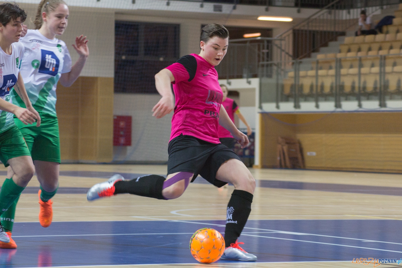 AZS UAM Poznań - Kotwica Kórnik Foto: Ewelina Jaśkowiak AZS UAM Poznań - Kotwica Kórnik Foto: Ewelina Jaśkowiak