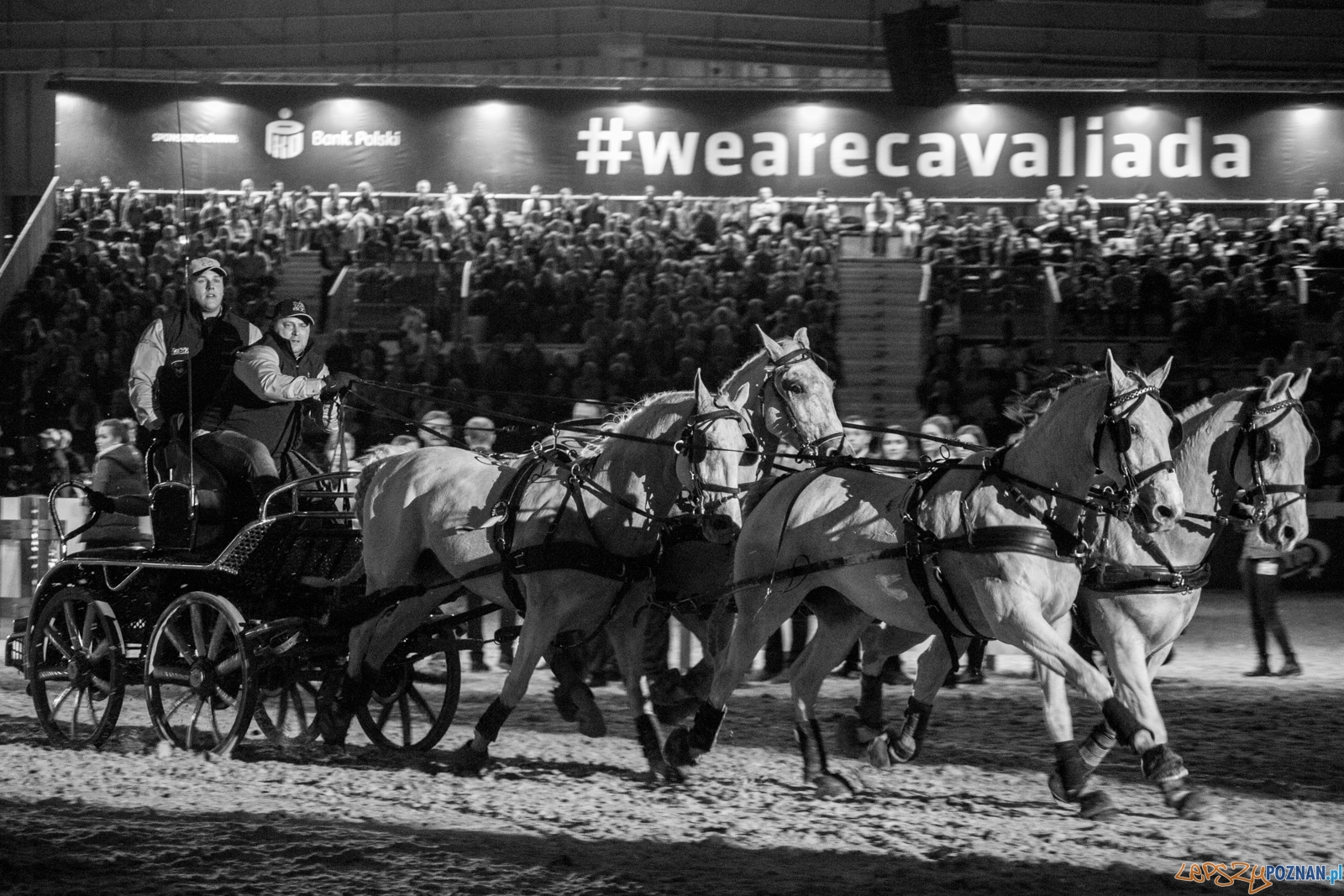 Cavaliada Halowy Puchar Polski w Powożeniu Zaprzęgami Czterok Foto: Ewelina Jaśkowiak Cavaliada Halowy Puchar Polski w Powożeniu Zaprzęgami Czterok Foto: Ewelina Jaśkowiak