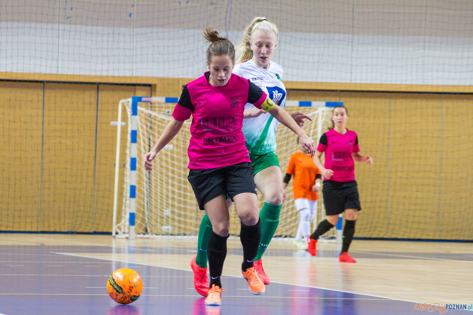 AZS UAM Poznań - Kotwica Kórnik Foto: Ewelina Jaśkowiak AZS UAM Poznań - Kotwica Kórnik Foto: Ewelina Jaśkowiak