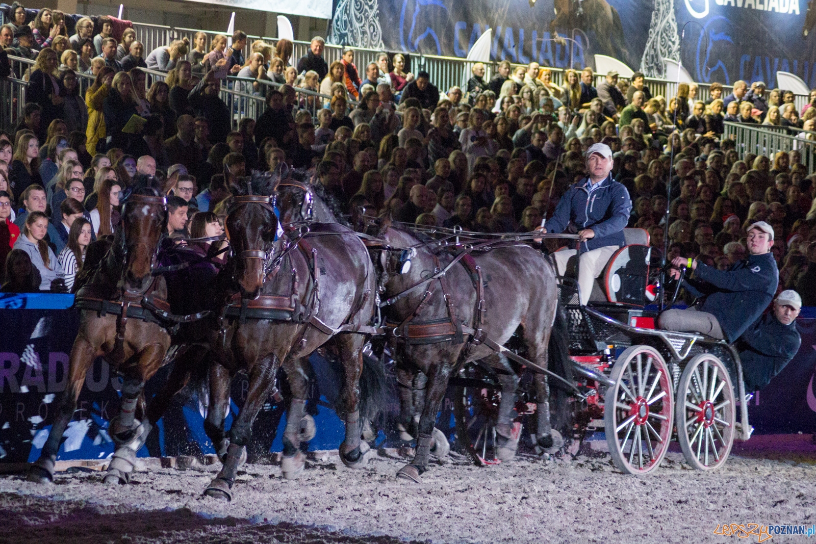 Cavaliada Halowy Puchar Polski w Powożeniu Zaprzęgami Czterok Foto: Ewelina Jaśkowiak Cavaliada Halowy Puchar Polski w Powożeniu Zaprzęgami Czterok Foto: Ewelina Jaśkowiak