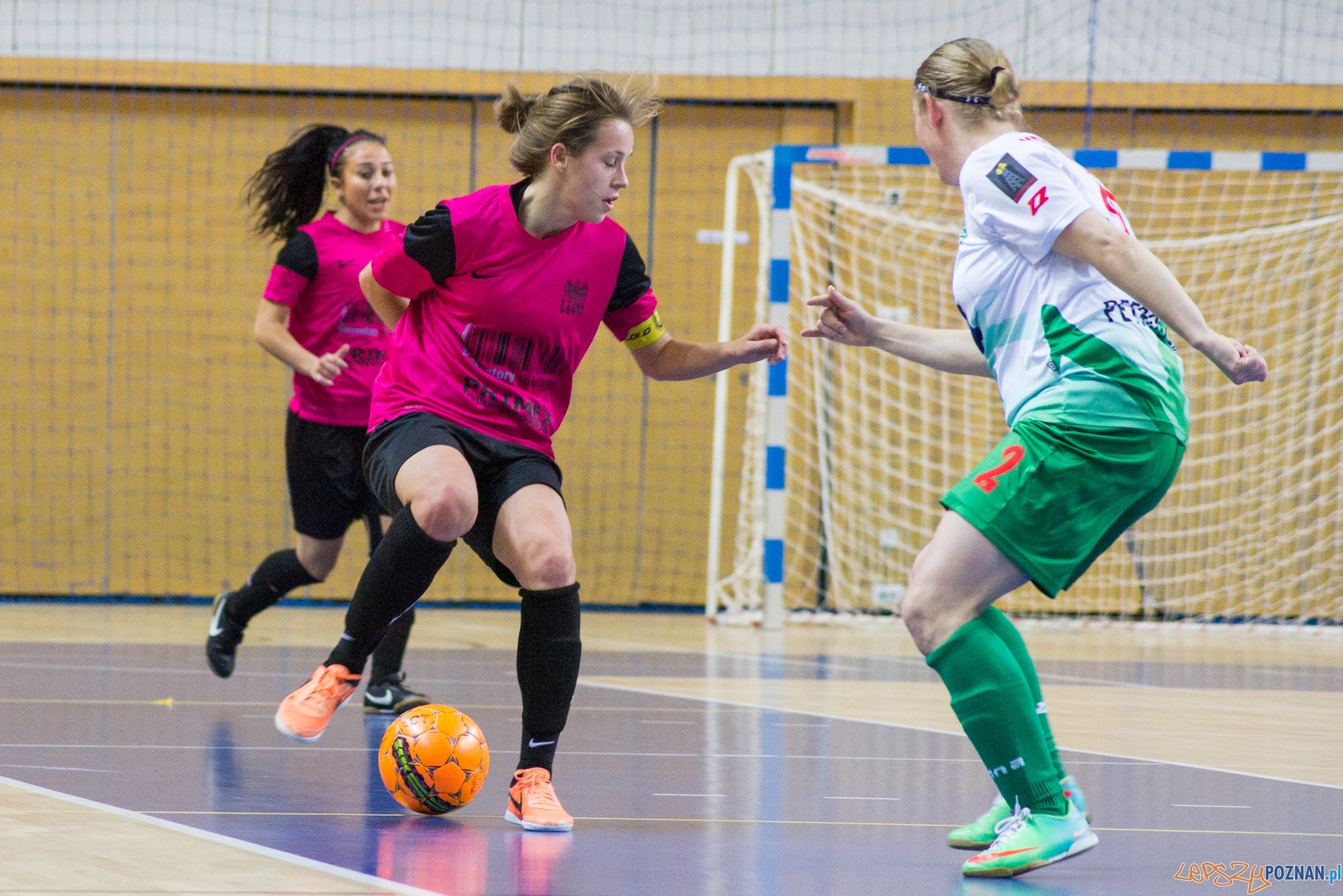 AZS UAM Poznań - Kotwica Kórnik Foto: Ewelina Jaśkowiak AZS UAM Poznań - Kotwica Kórnik Foto: Ewelina Jaśkowiak