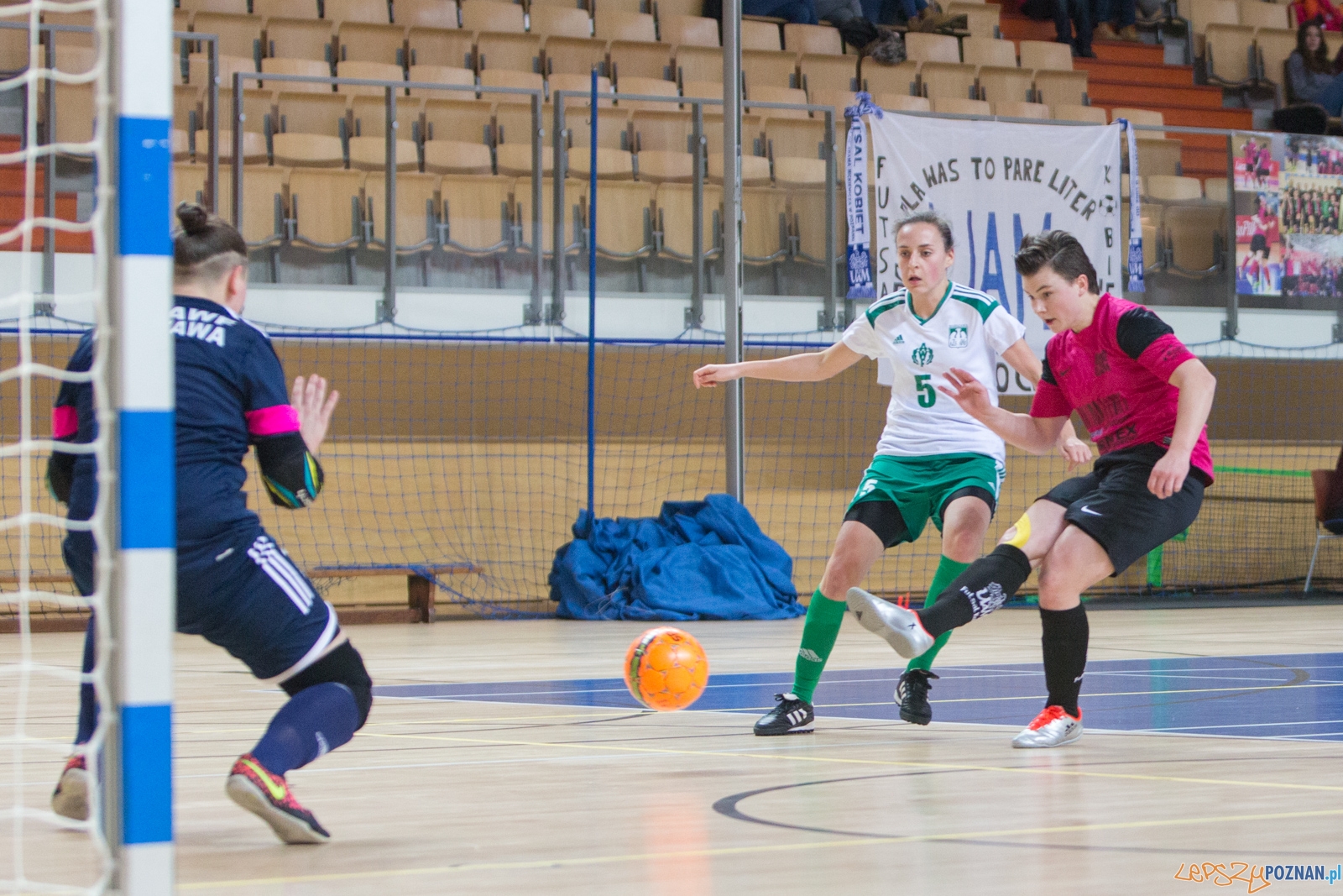 Futsal kobiet: AZS UAM Poznań - AZS AWF Warszawa Foto: lepszyPOZNAN.pl / Piotr Rychter Futsal kobiet: AZS UAM Poznań - AZS AWF Warszawa Foto: lepszyPOZNAN.pl / Piotr Rychter