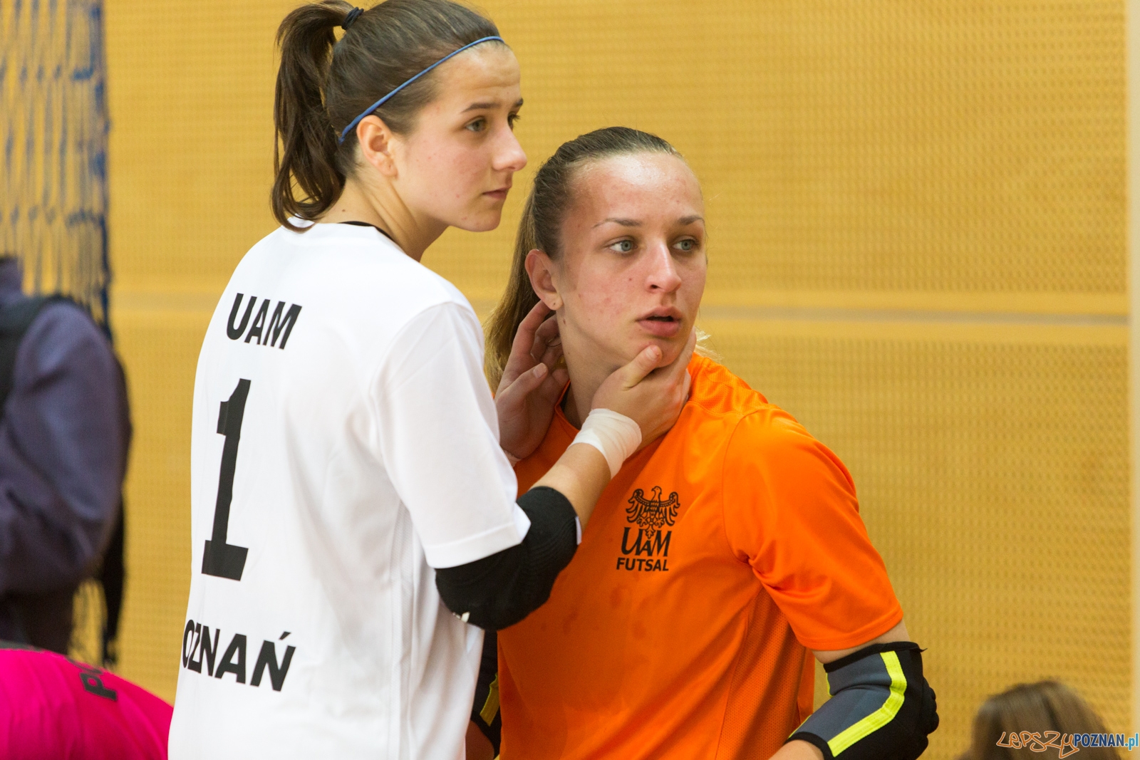 KS UAM Poznań - Kotwica Kórnik Foto: lepszyPOZNAN.pl / Piotr Rychter KS UAM Poznań - Kotwica Kórnik Foto: lepszyPOZNAN.pl / Piotr Rychter