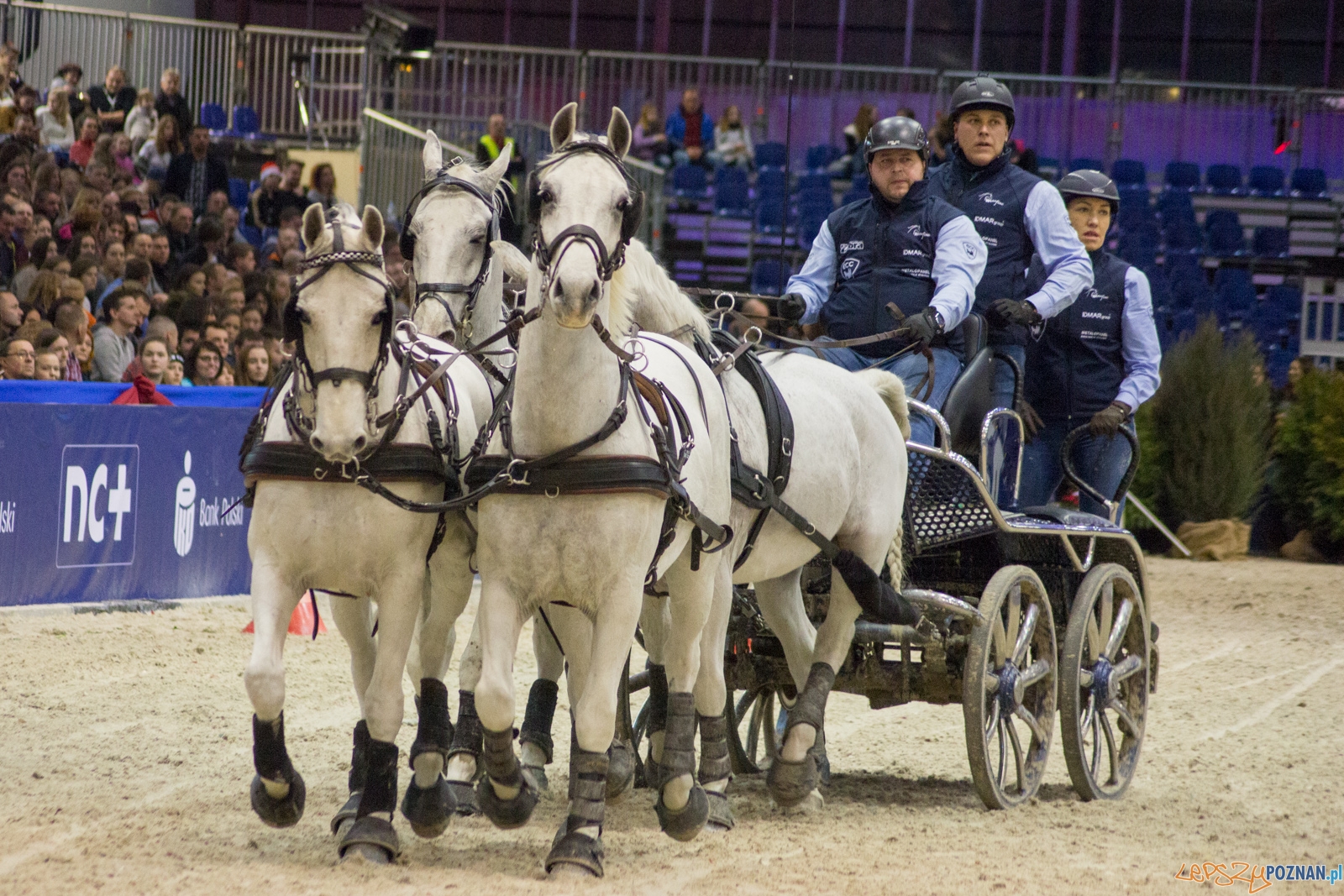 Cavaliada Halowy Puchar Polski w Powożeniu Zaprzęgami Czterok Foto: Ewelina Jaśkowiak Cavaliada Halowy Puchar Polski w Powożeniu Zaprzęgami Czterok Foto: Ewelina Jaśkowiak