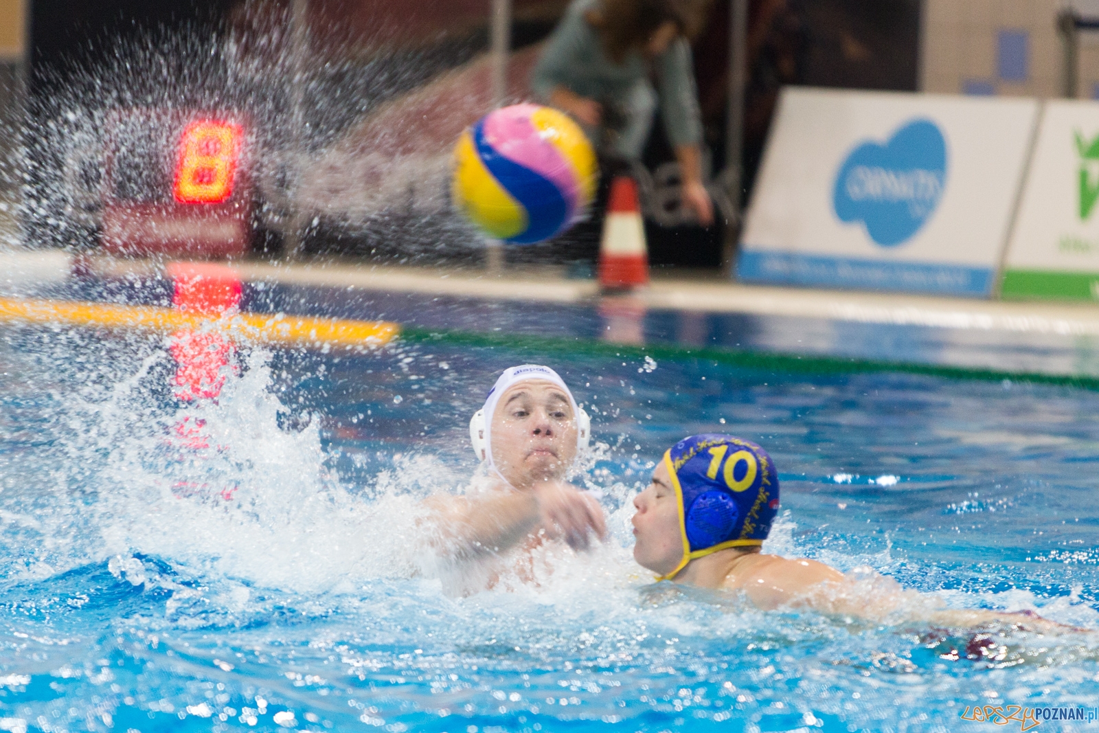 III Malta Waterpolo Cup - MVLC Miszkolc - ASV Wiedeń Foto: lepszyPOZNAN.pl / Piotr Rychter III Malta Waterpolo Cup - MVLC Miszkolc - ASV Wiedeń Foto: lepszyPOZNAN.pl / Piotr Rychter
