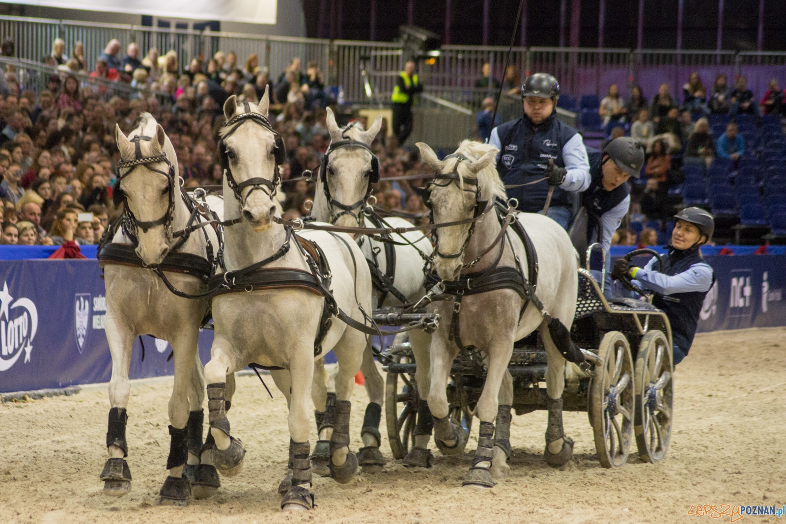 Cavaliada Halowy Puchar Polski w Powożeniu Zaprzęgami Czterok Foto: Ewelina Jaśkowiak Cavaliada Halowy Puchar Polski w Powożeniu Zaprzęgami Czterok Foto: Ewelina Jaśkowiak