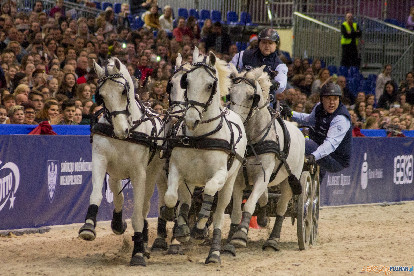 Cavaliada Halowy Puchar Polski w Powożeniu Zaprzęgami Czterok Foto: Ewelina Jaśkowiak Cavaliada Halowy Puchar Polski w Powożeniu Zaprzęgami Czterok Foto: Ewelina Jaśkowiak
