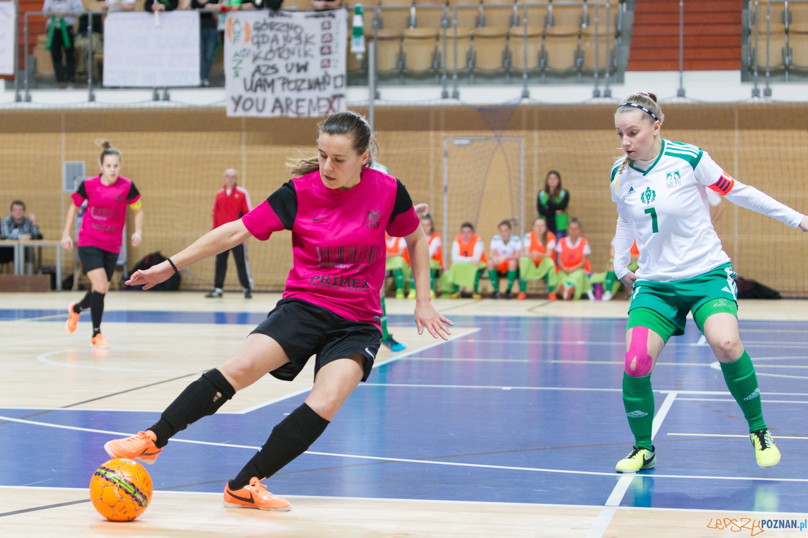 Futsal kobiet: AZS UAM Poznań - AZS AWF Warszawa Foto: lepszyPOZNAN.pl / Piotr Rychter Futsal kobiet: AZS UAM Poznań - AZS AWF Warszawa Foto: lepszyPOZNAN.pl / Piotr Rychter