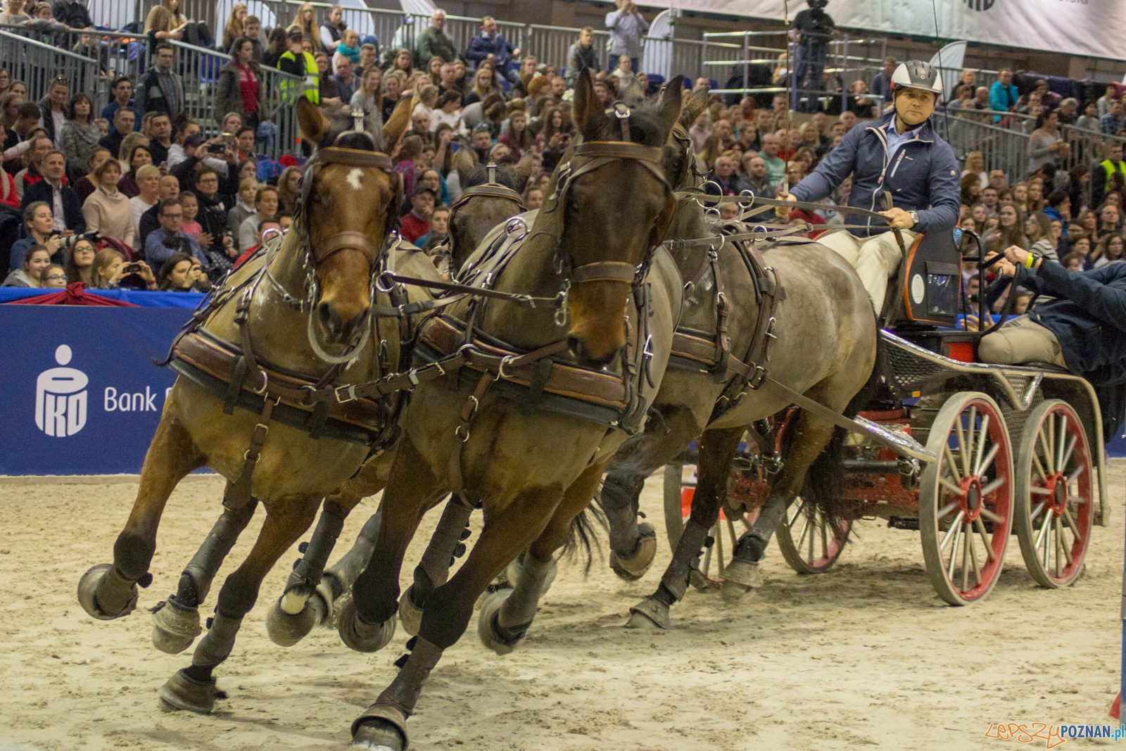 Cavaliada Halowy Puchar Polski w Powożeniu Zaprzęgami Czterok Foto: Ewelina Jaśkowiak Cavaliada Halowy Puchar Polski w Powożeniu Zaprzęgami Czterok Foto: Ewelina Jaśkowiak