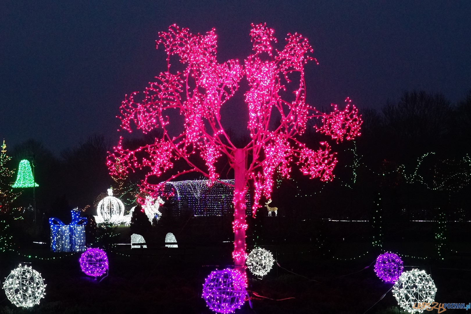 Kraina Świętego Mikołaja Foto: ExPress / materiały prasowe Kraina Świętego Mikołaja Foto: ExPress / materiały prasowe